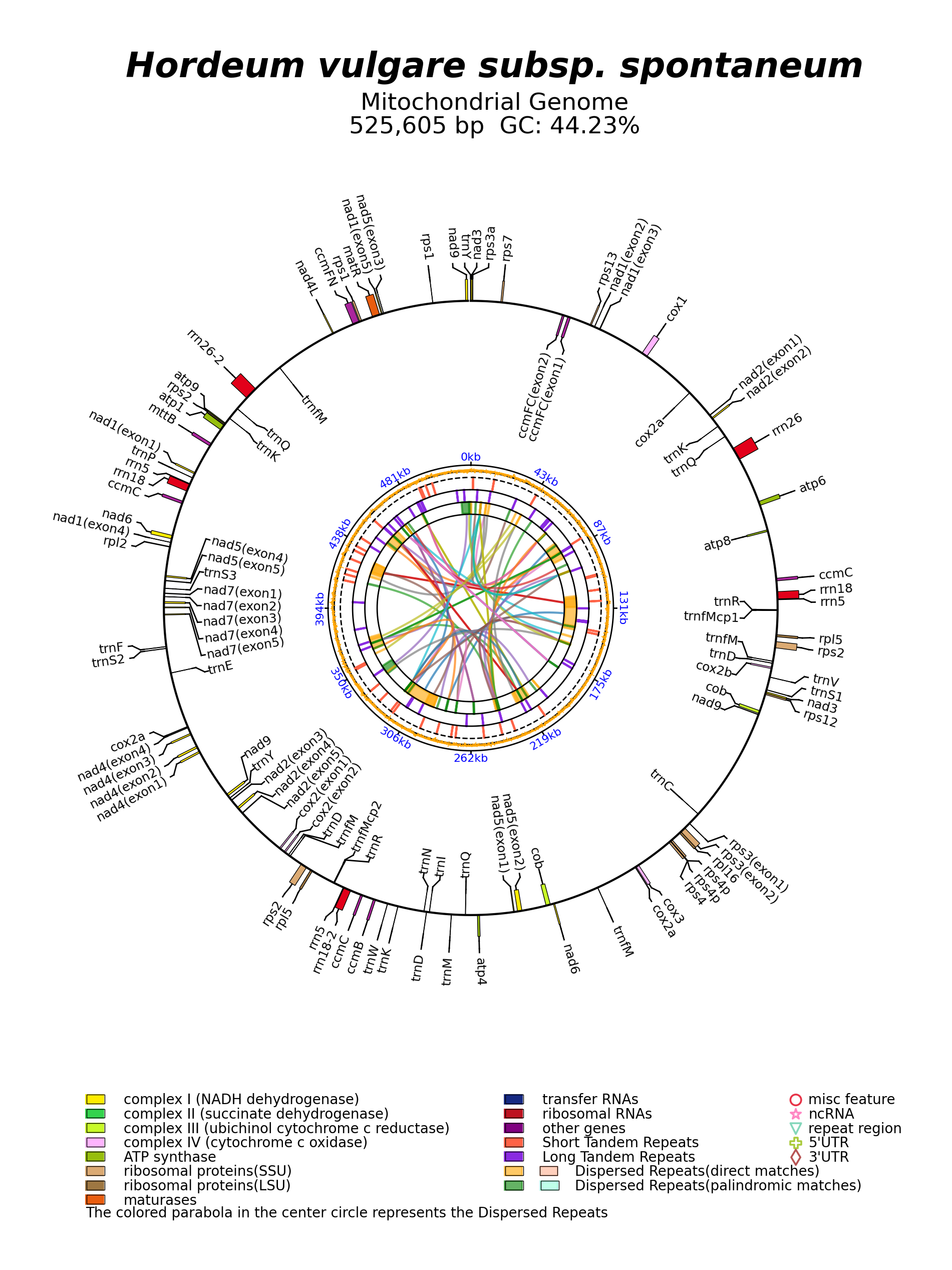 MN127974_circular.png