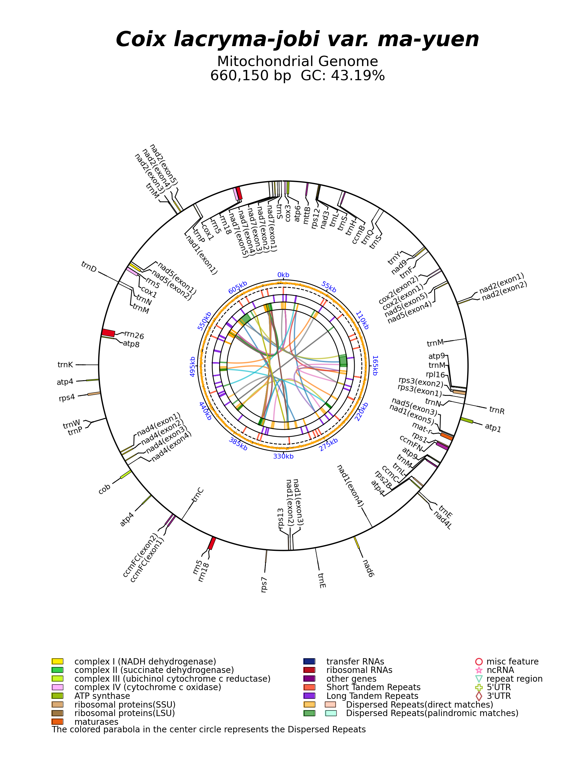 MT471097_circular.png