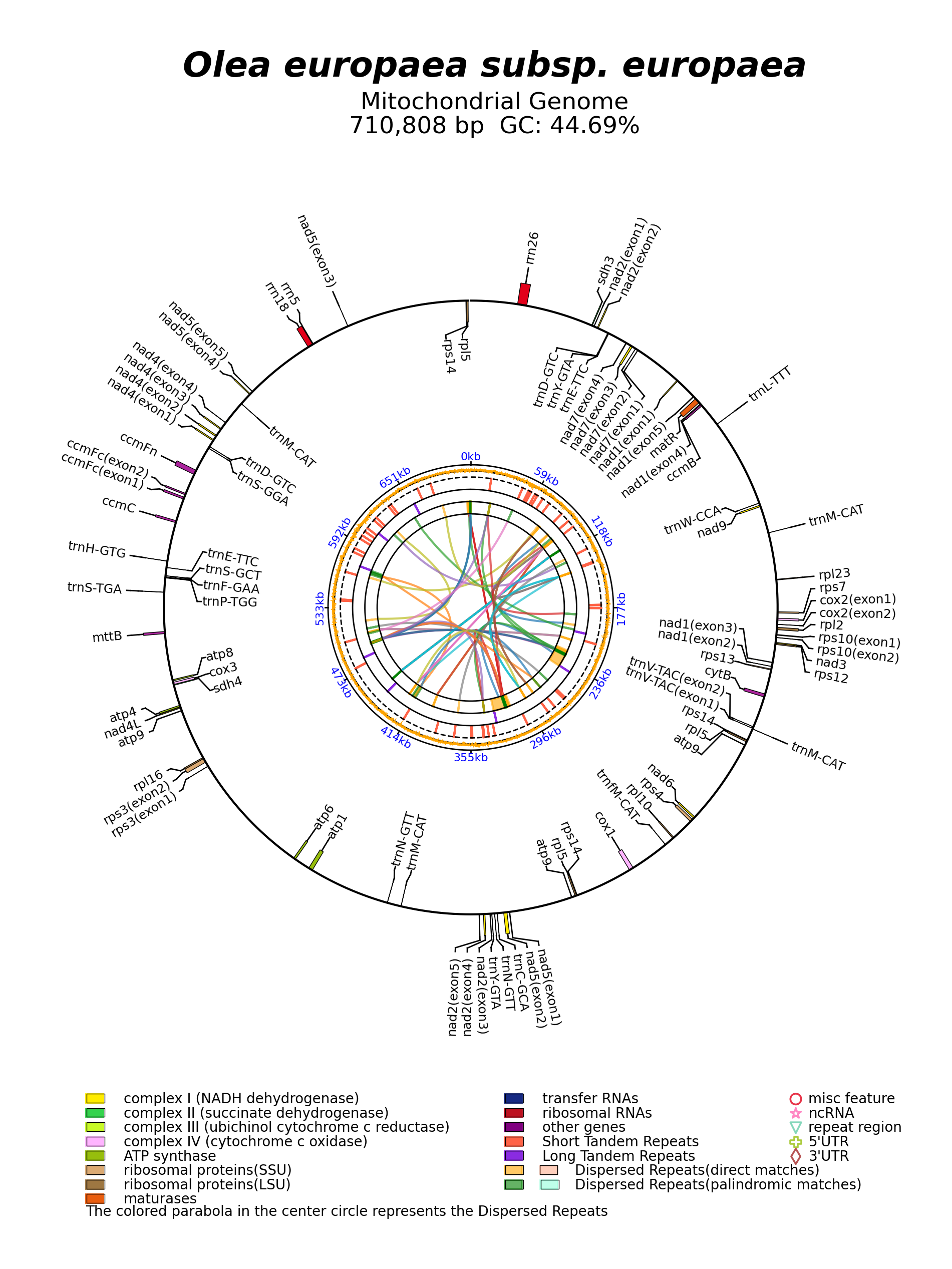 MW262896_circular.png