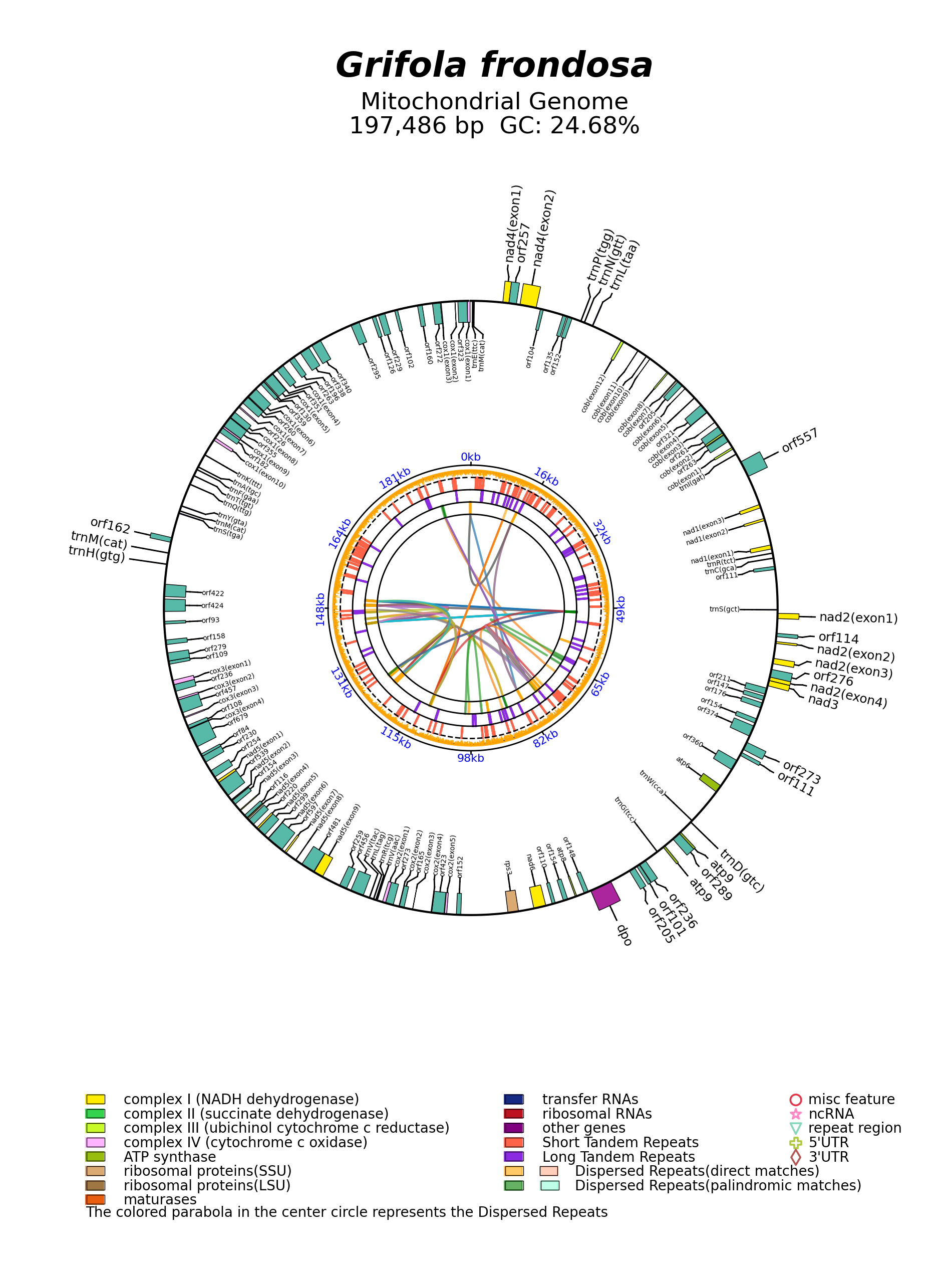 MW324678_circular.png
