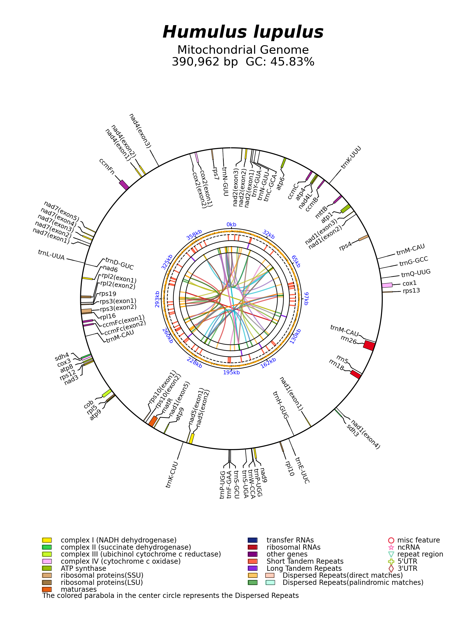 MW413894_circular.png