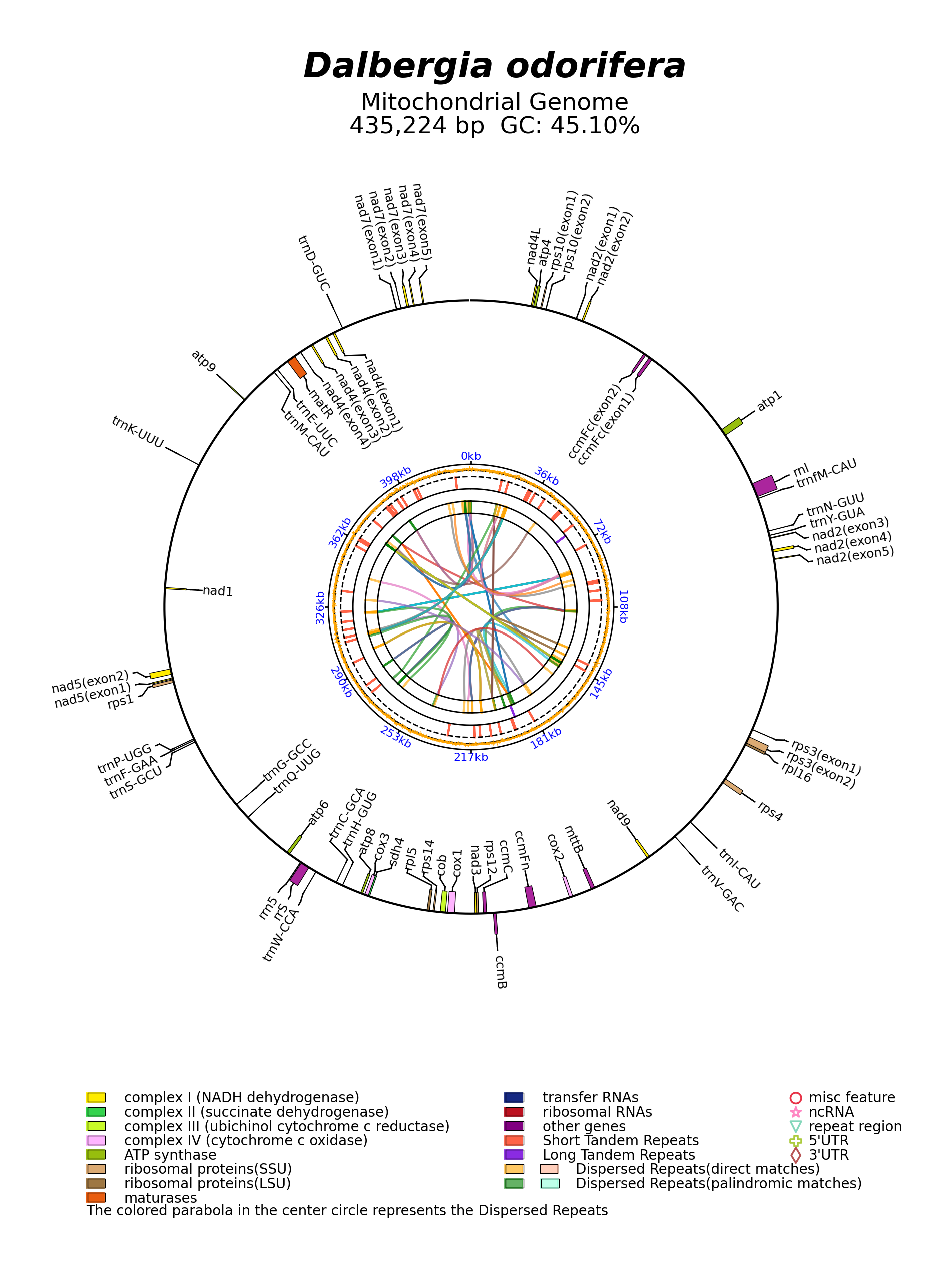 MW441235_circular.png