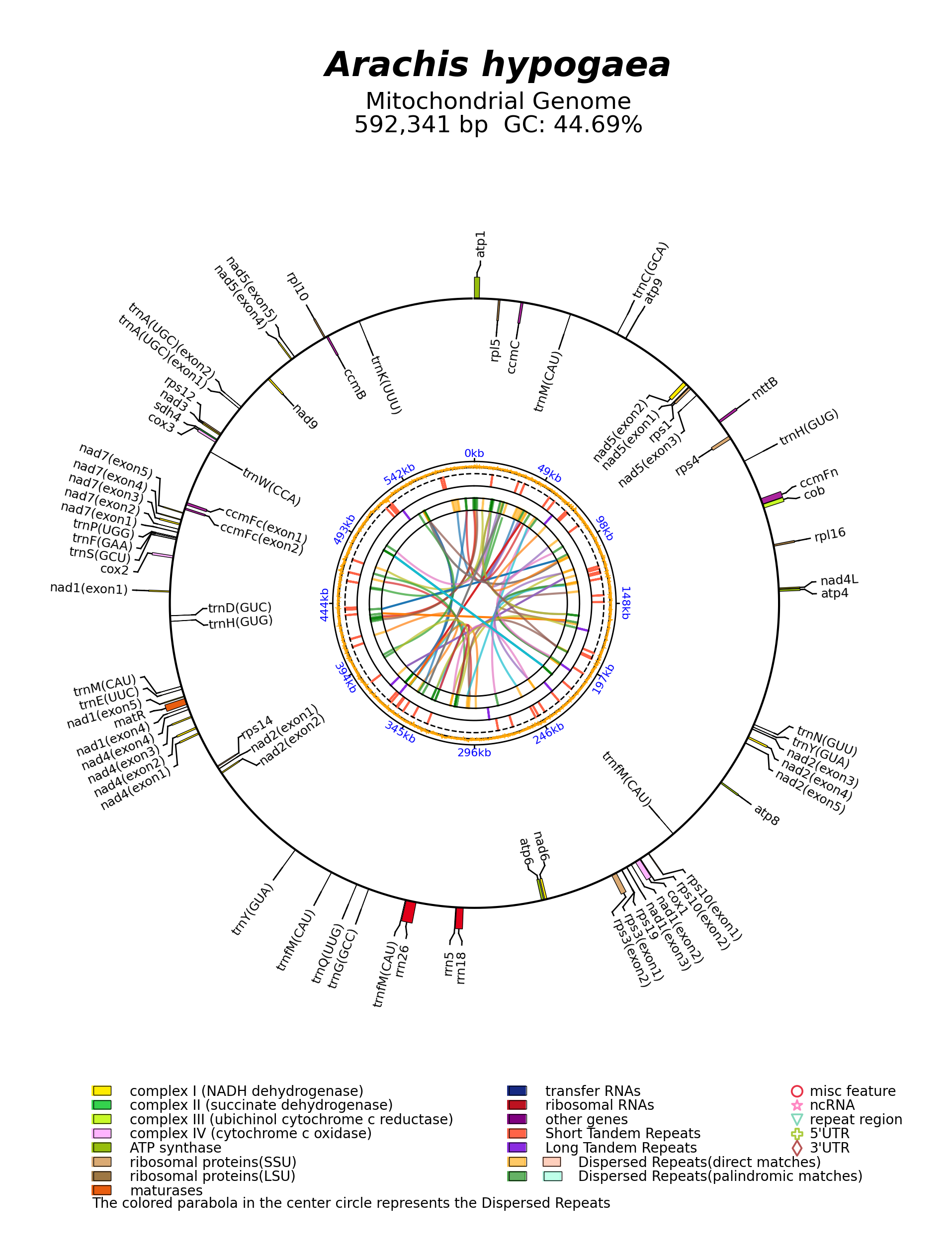 MW448460_circular.png