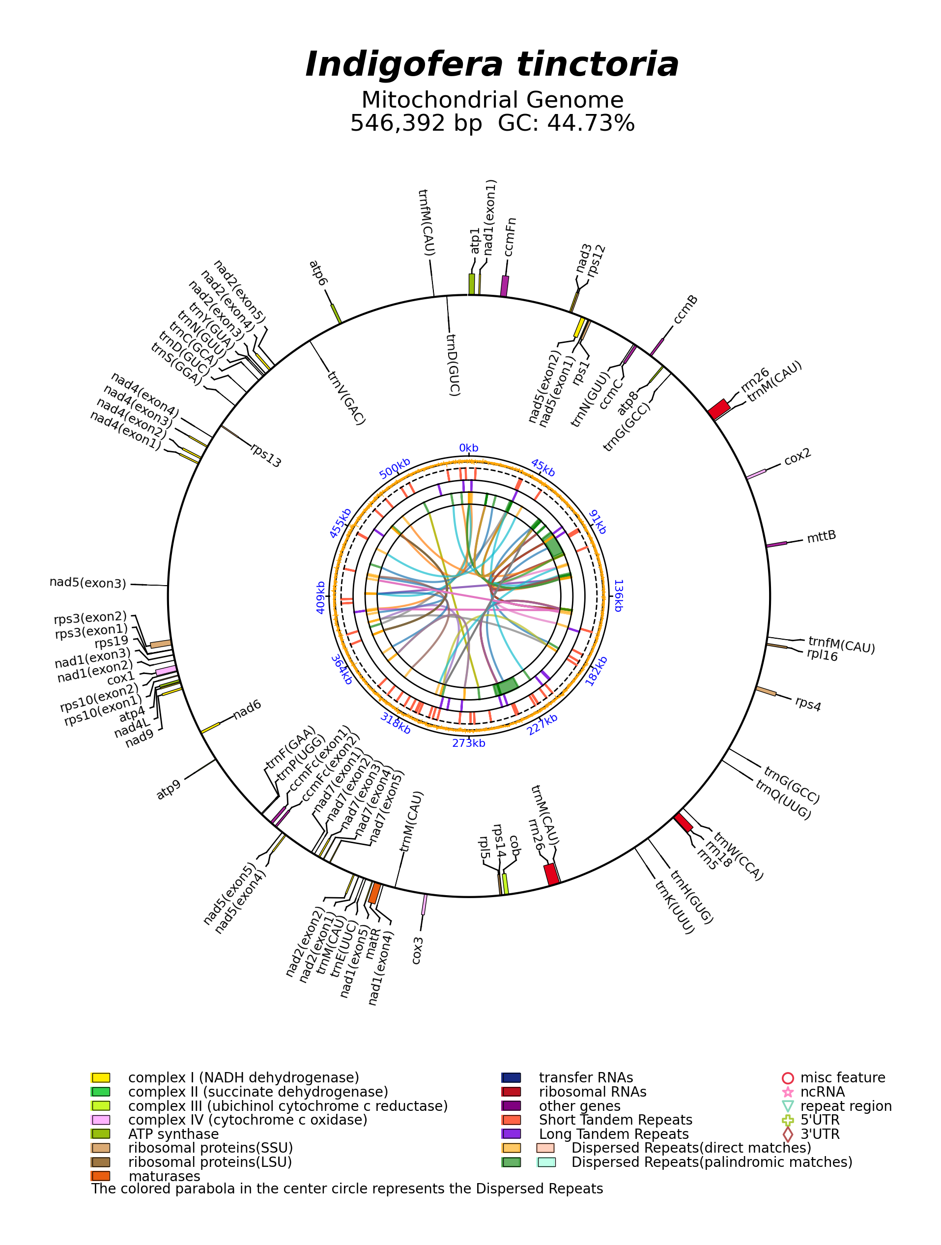 MW448462_circular.png