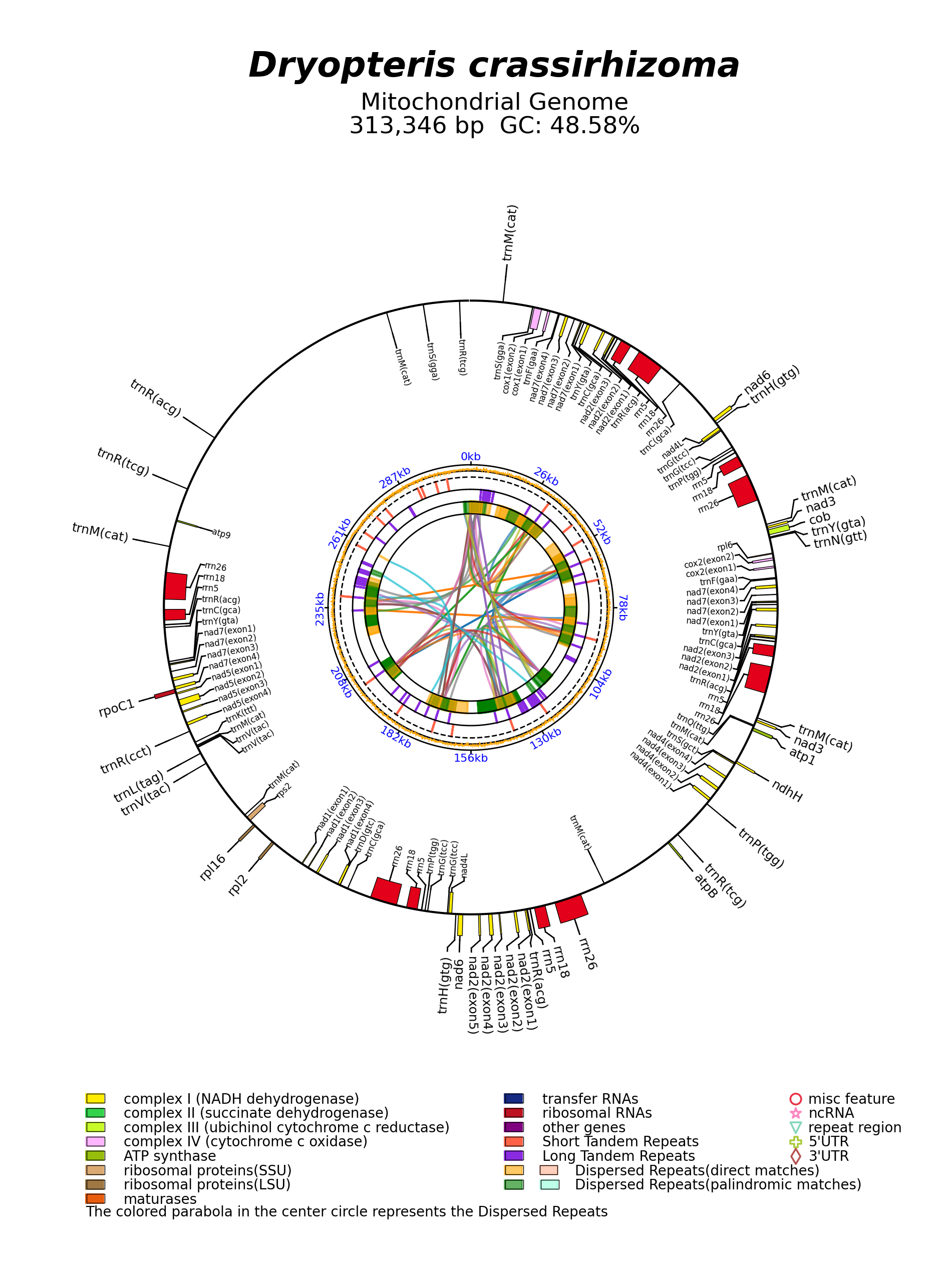 MW732172_circular.png