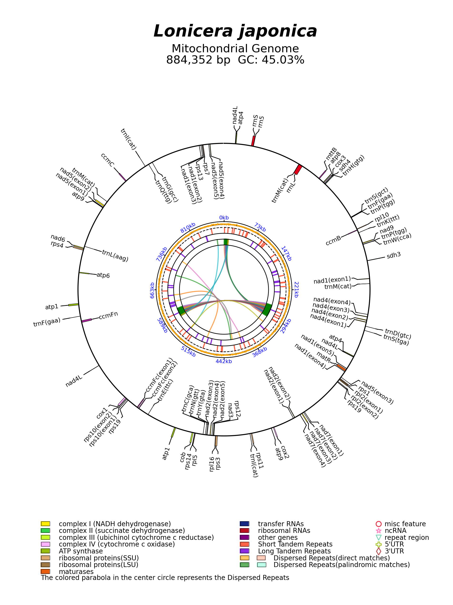 MZ504724_circular.png