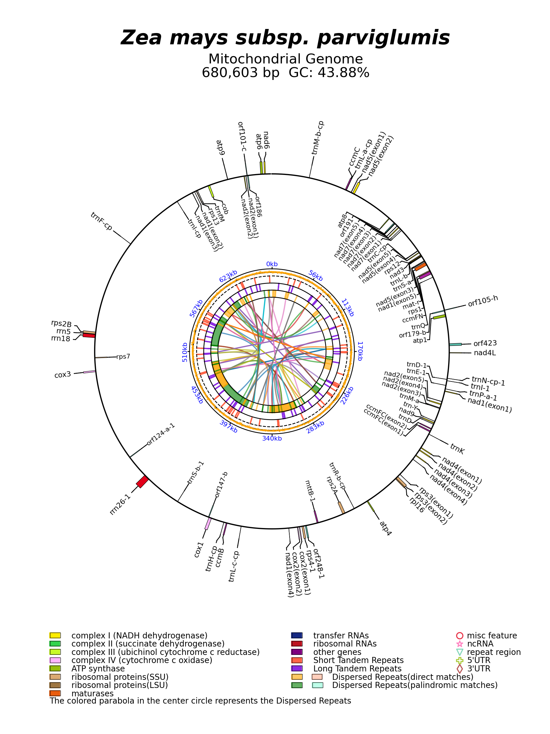 NC_008332_circular.png