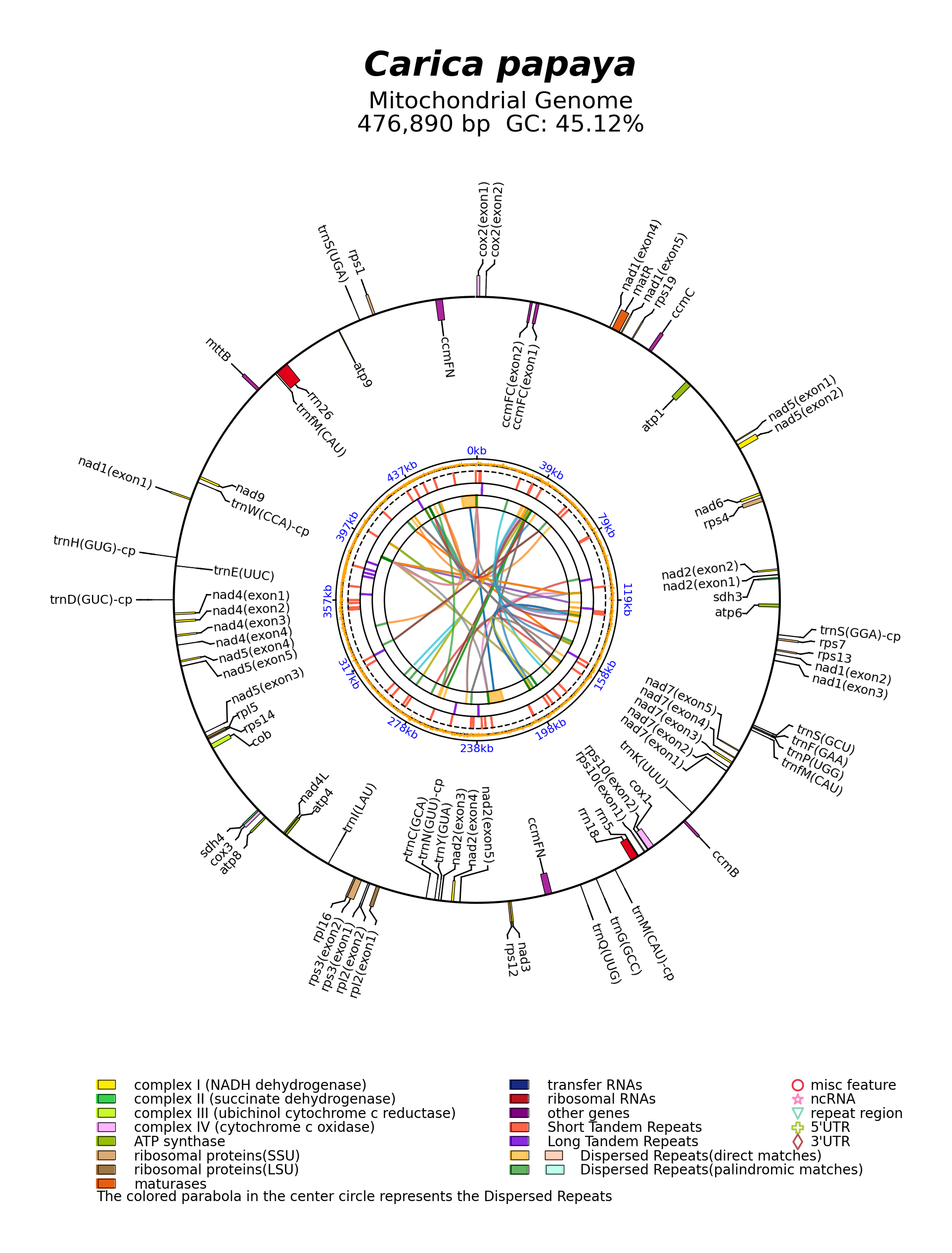NC_012116_circular.png