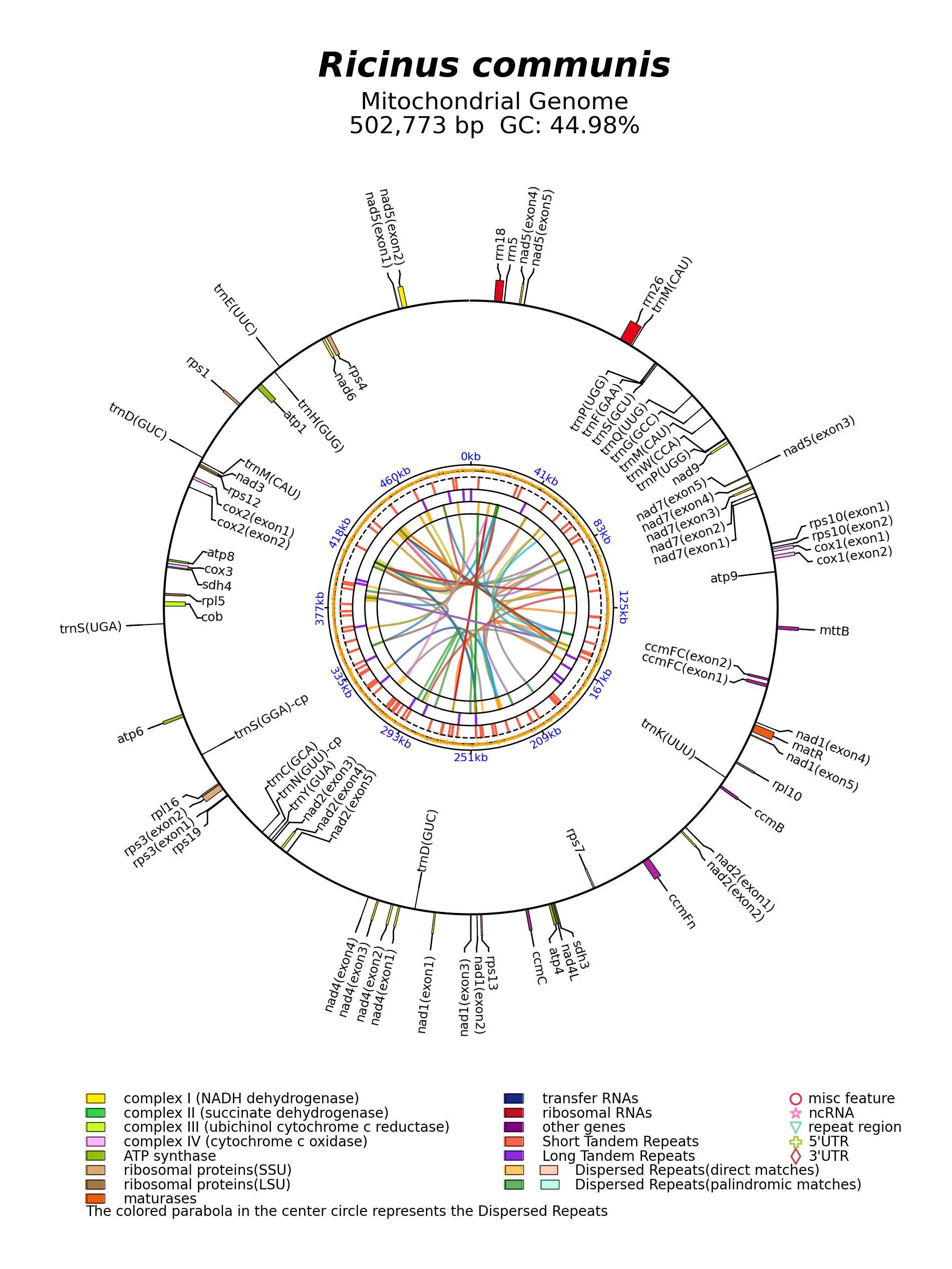 NC_015141_circular.png
