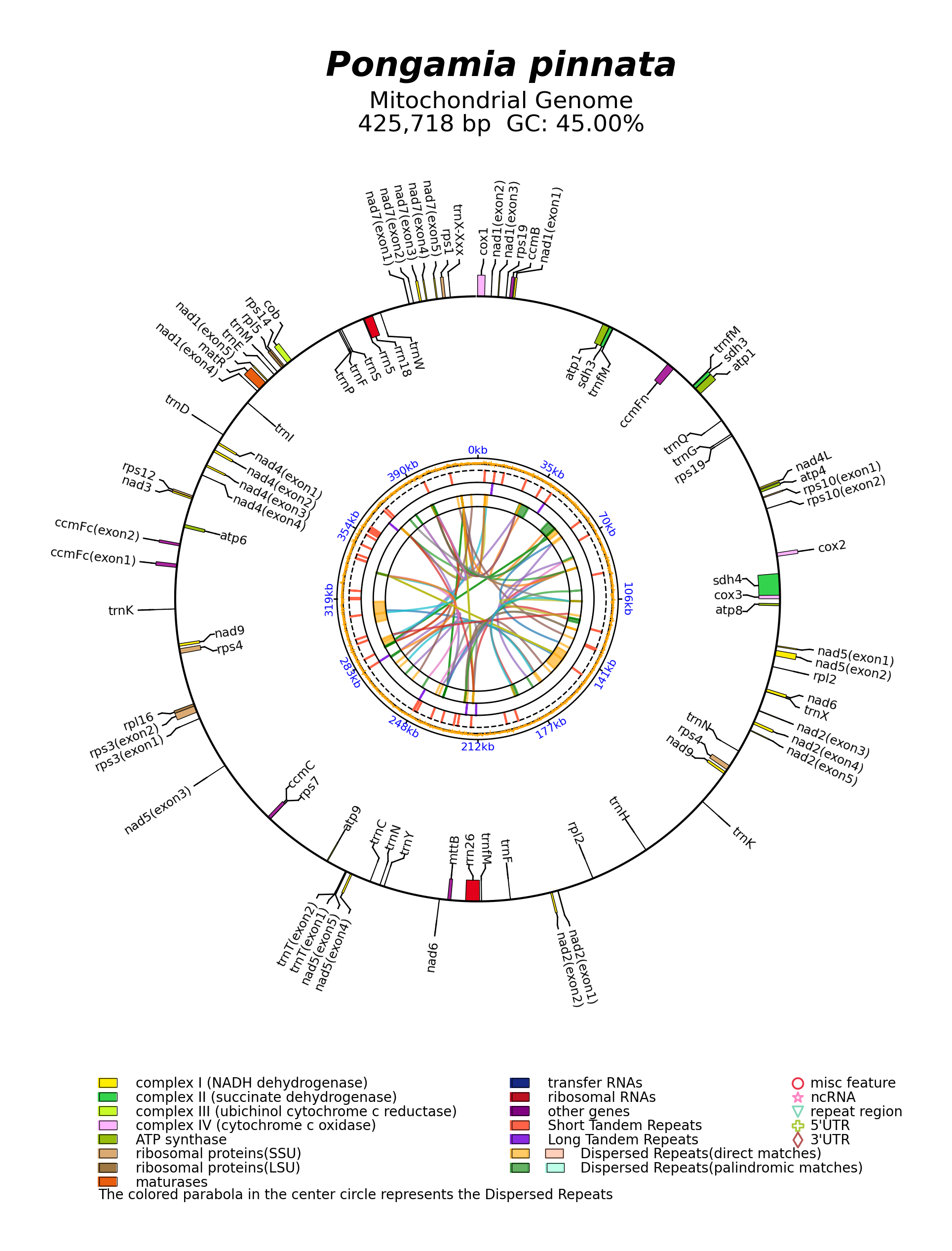 NC_016742_circular.png