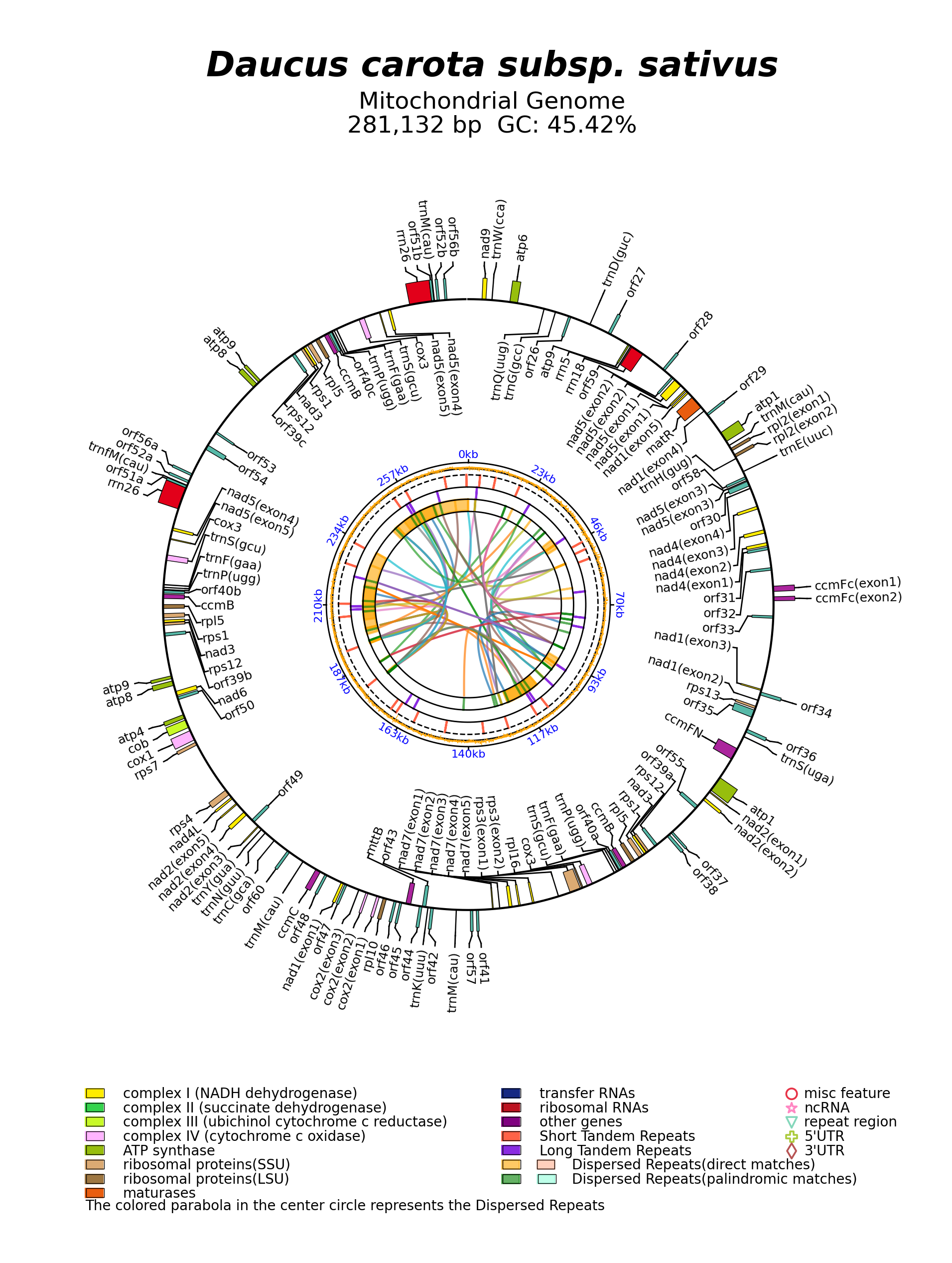 NC_017855_circular.png
