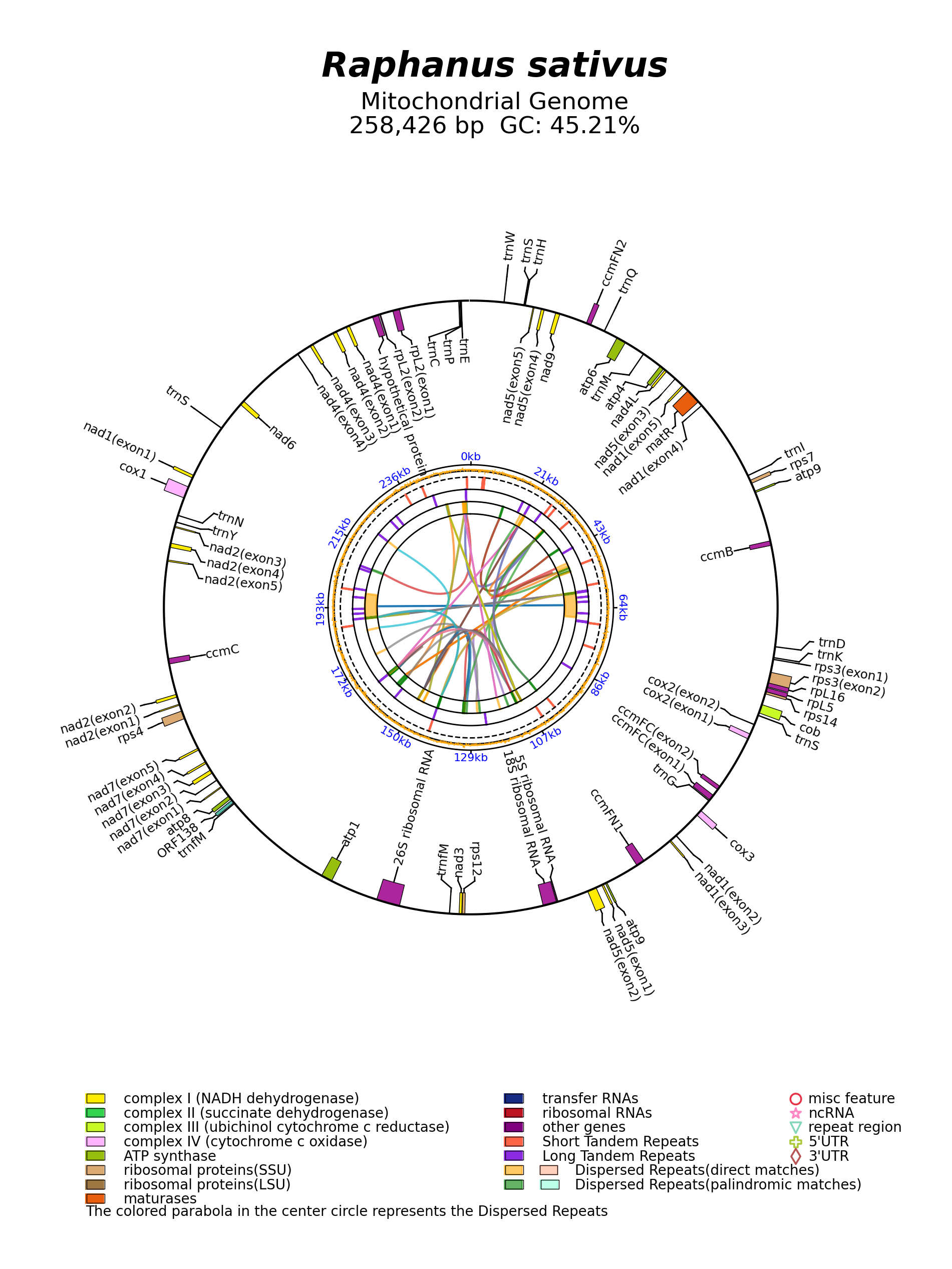 NC_018551_circular.png