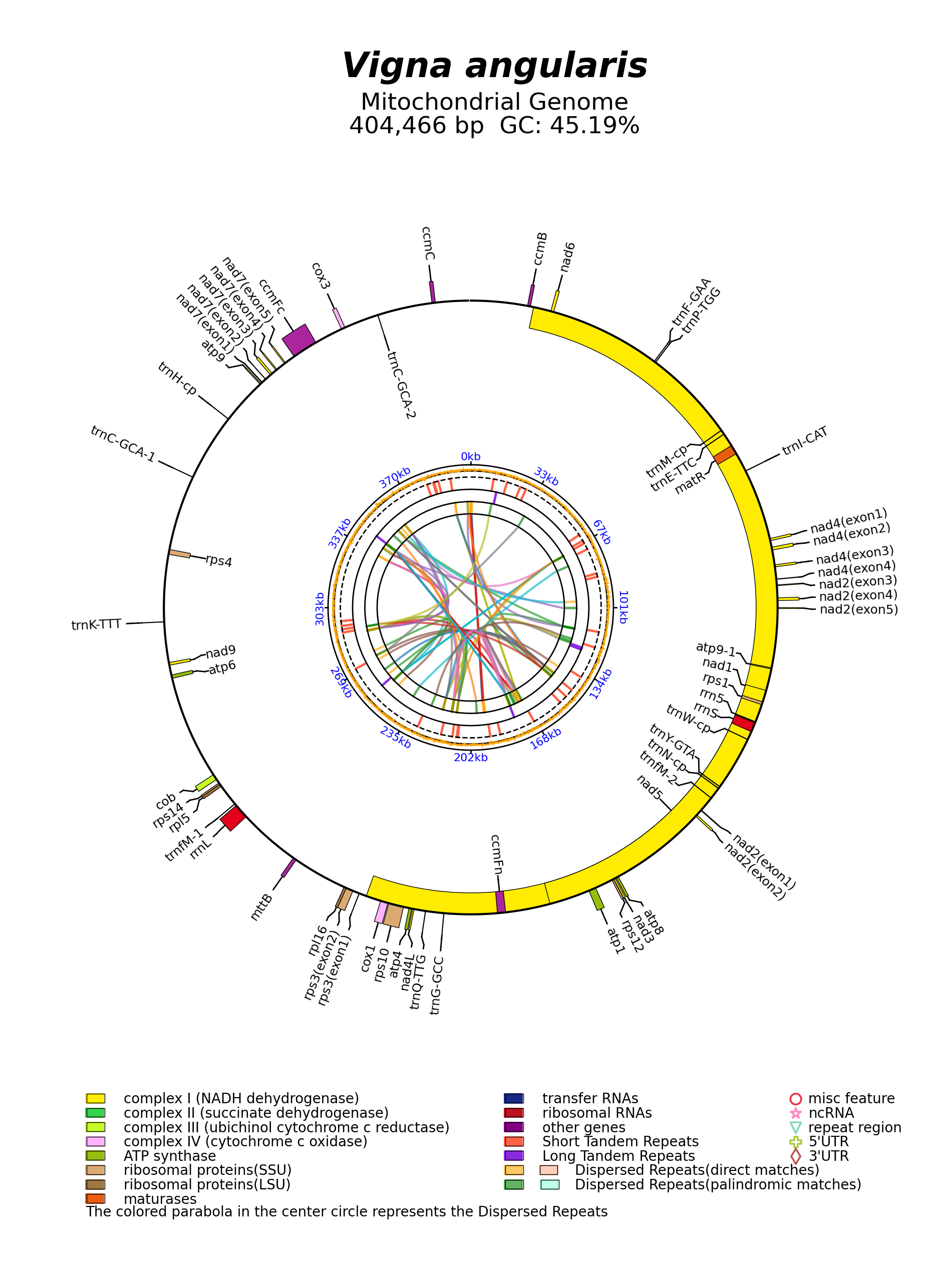 NC_021092_circular.png