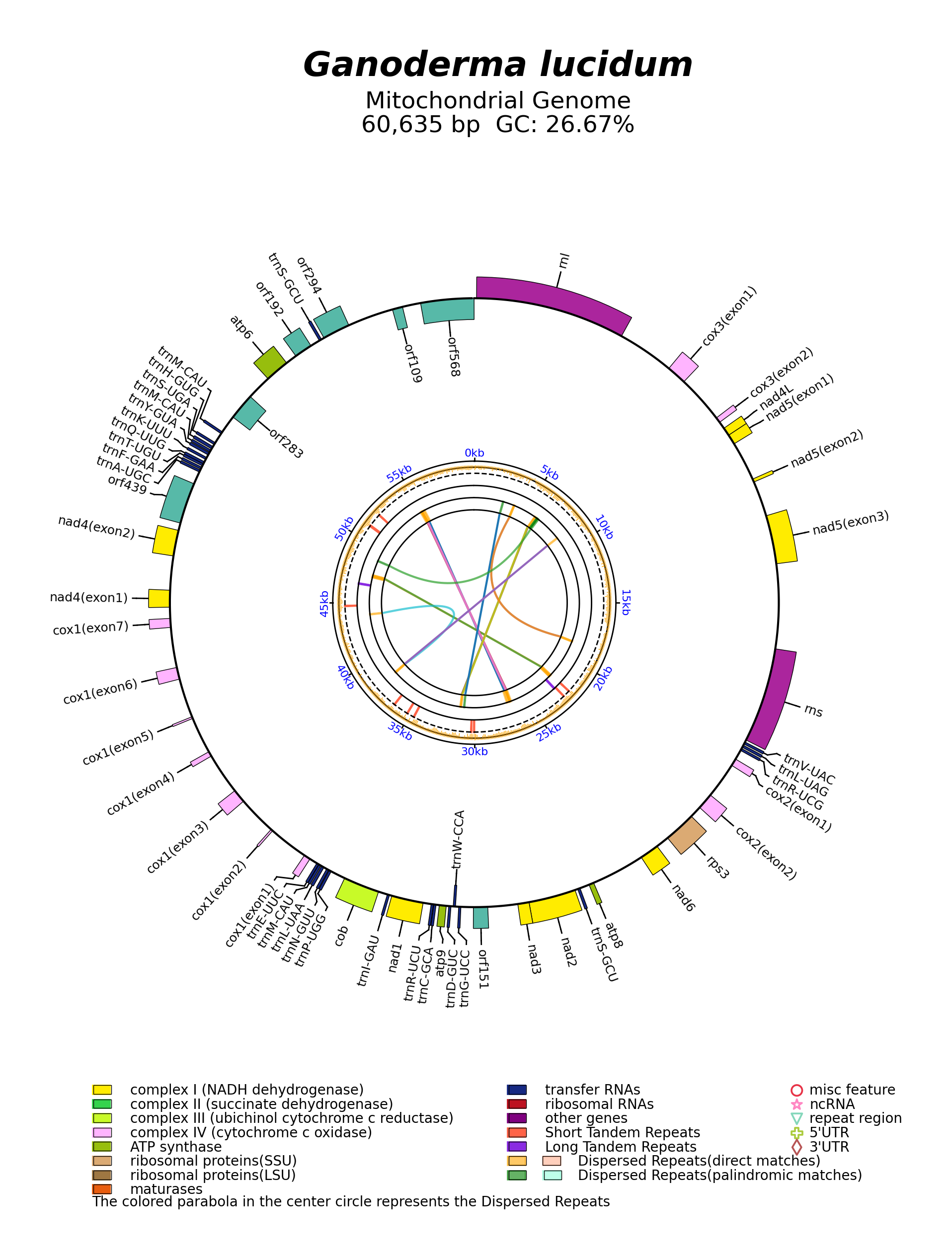 NC_021750_circular.png
