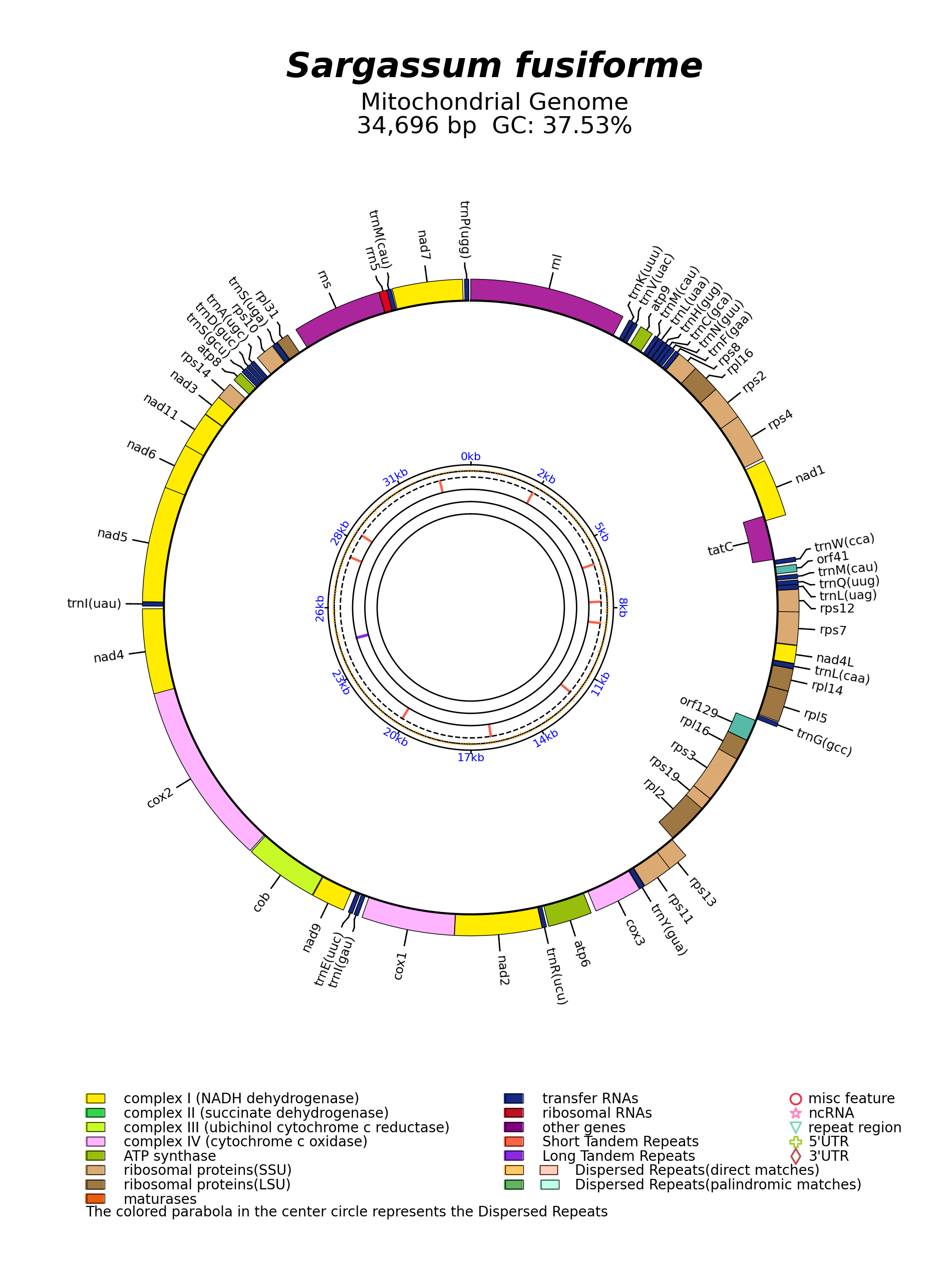 NC_024655_circular.png
