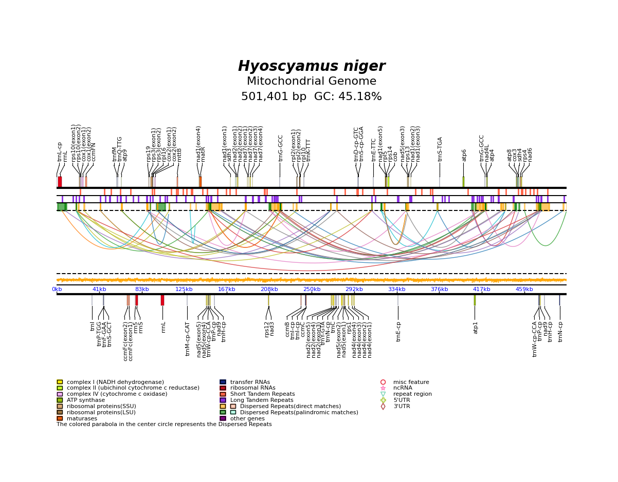 NC_026515_linear.png