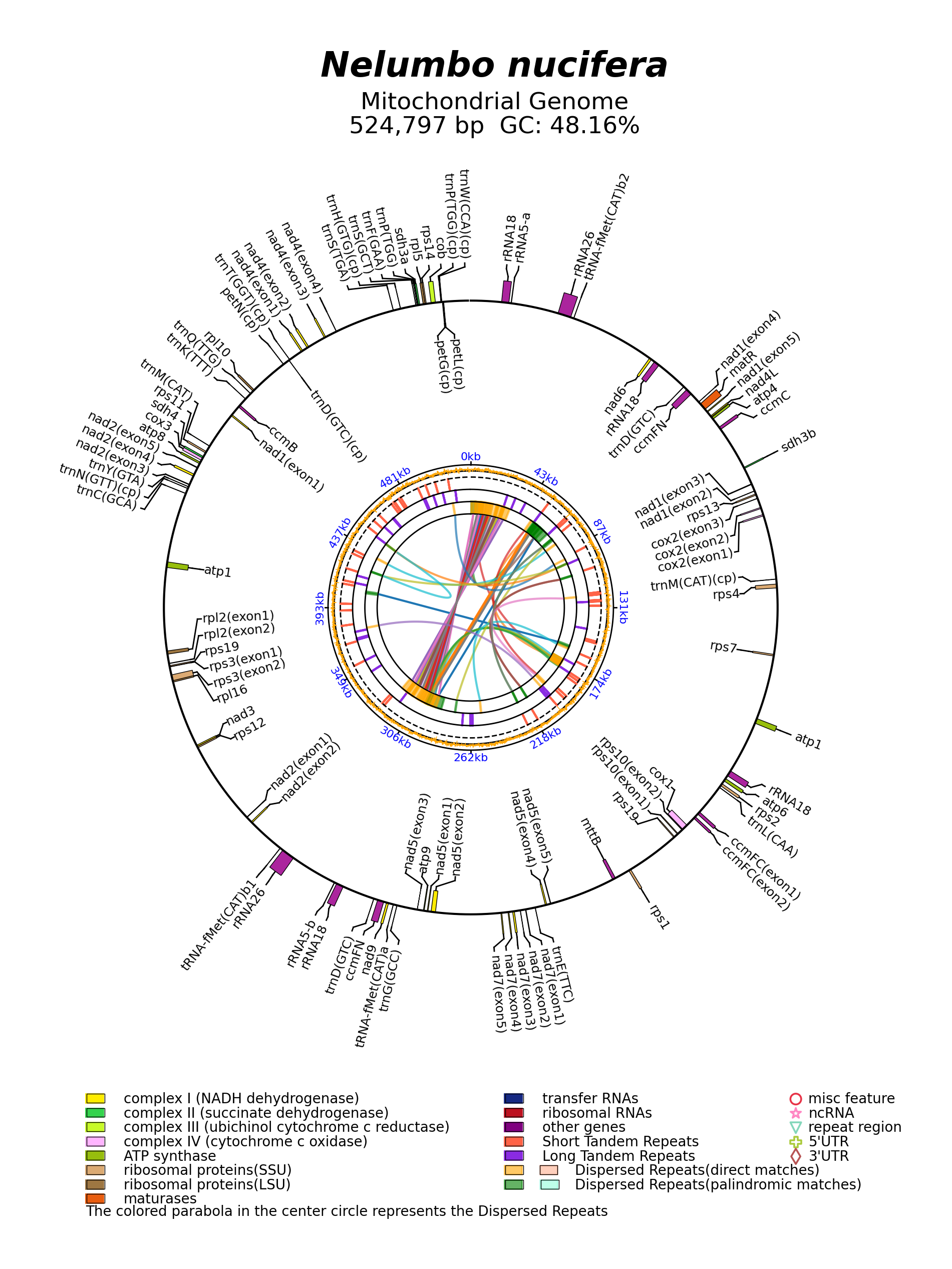 NC_030753_circular.png