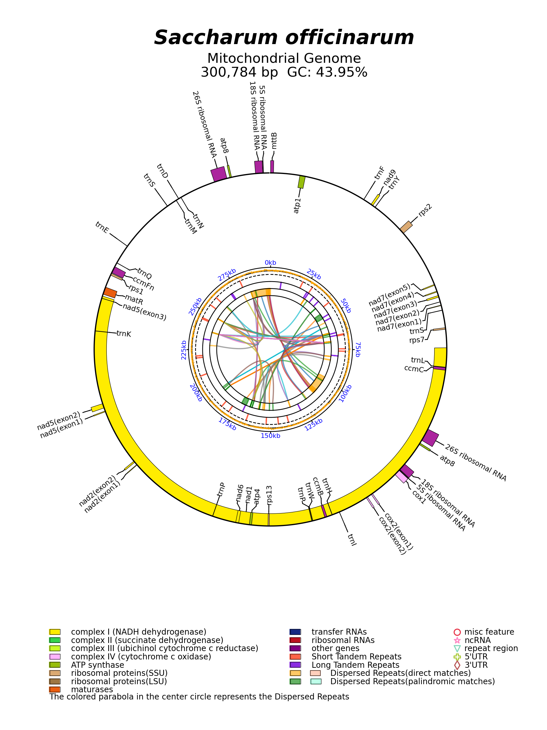 NC_031164_circular.png
