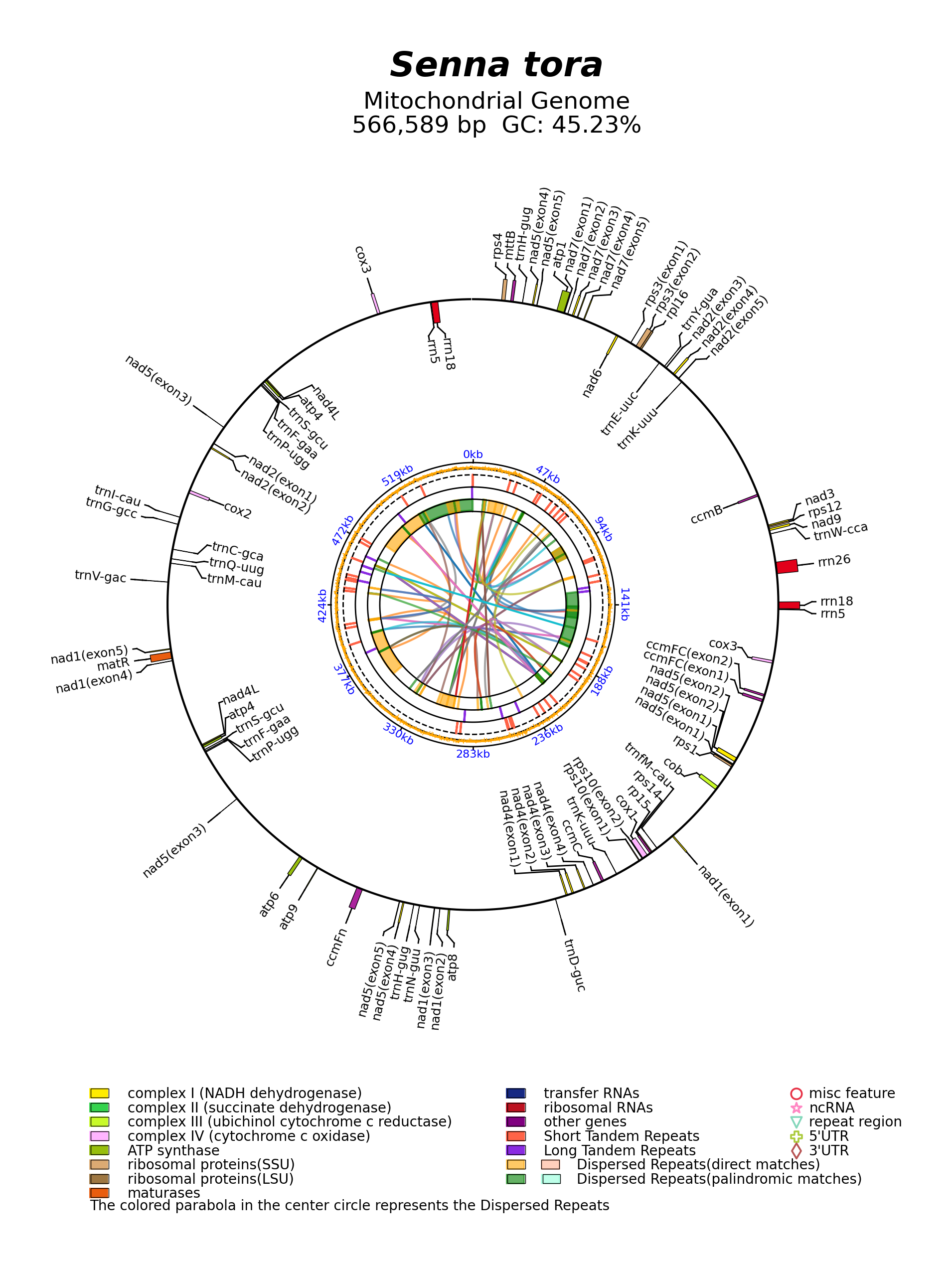 NC_038053_circular.png