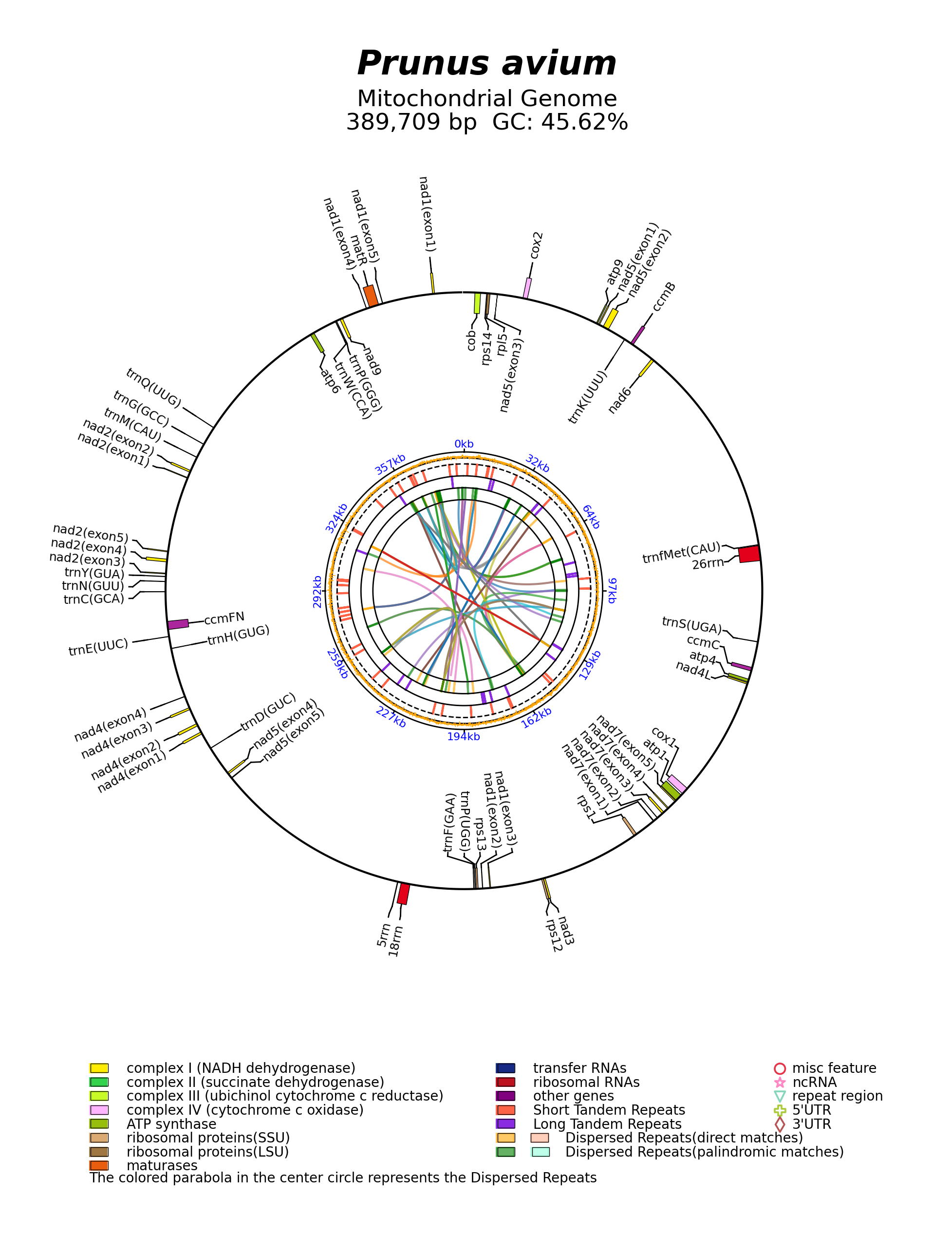 NC_044768_circular.png