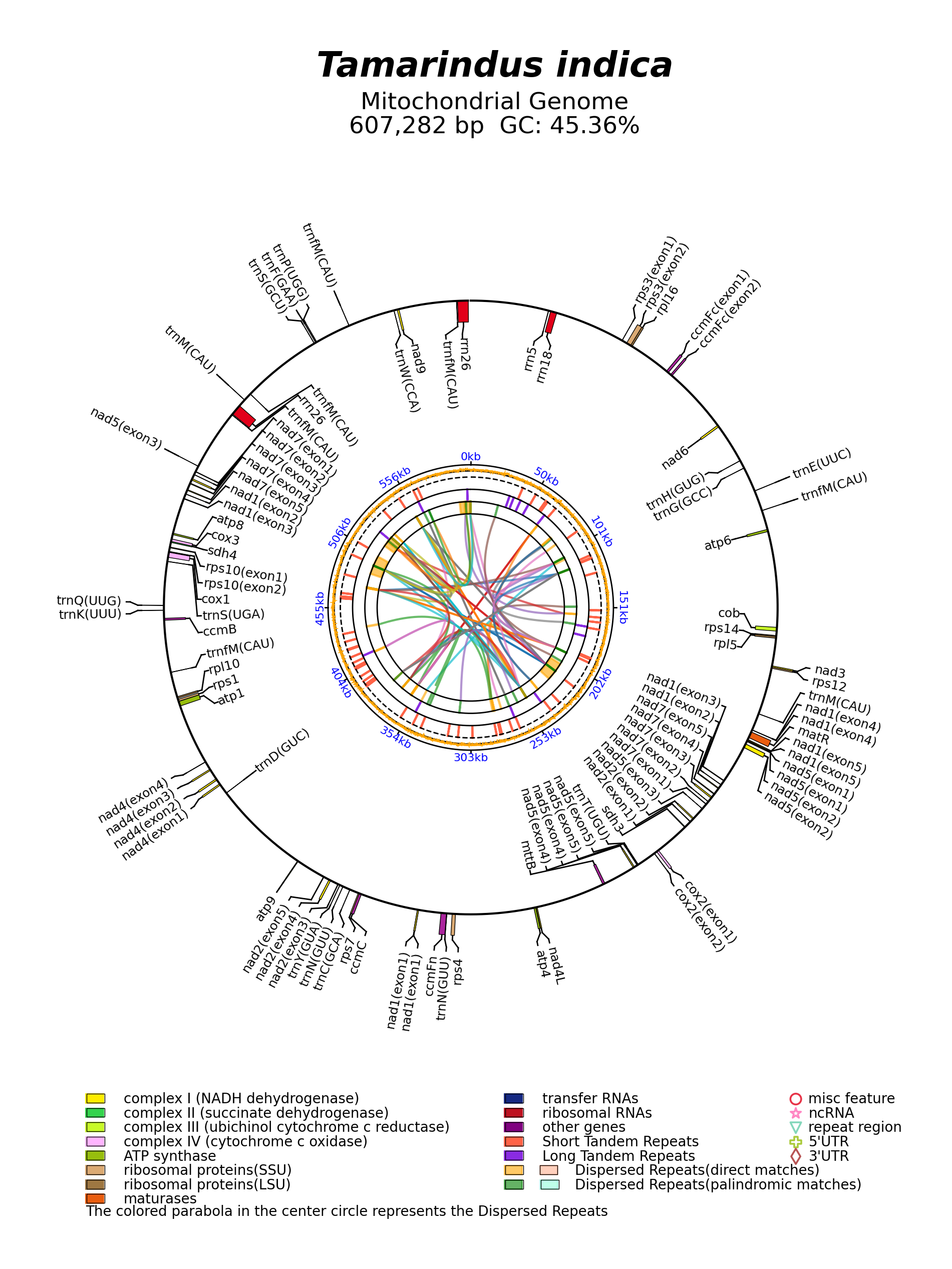 NC_045038_circular.png