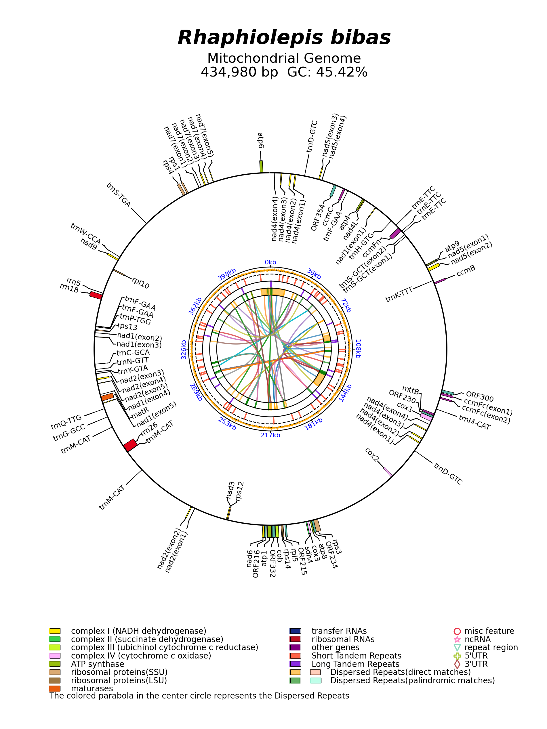 NC_045228_circular.png