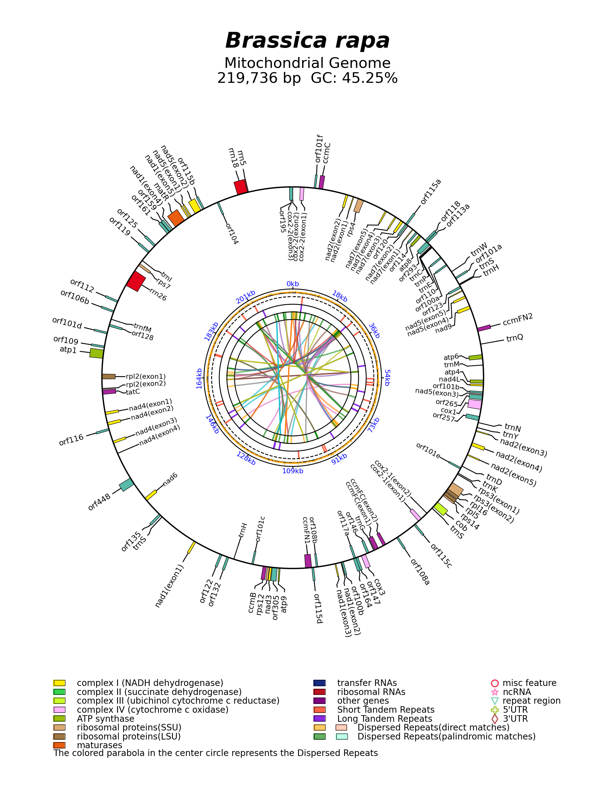 NC_049892_circular.png
