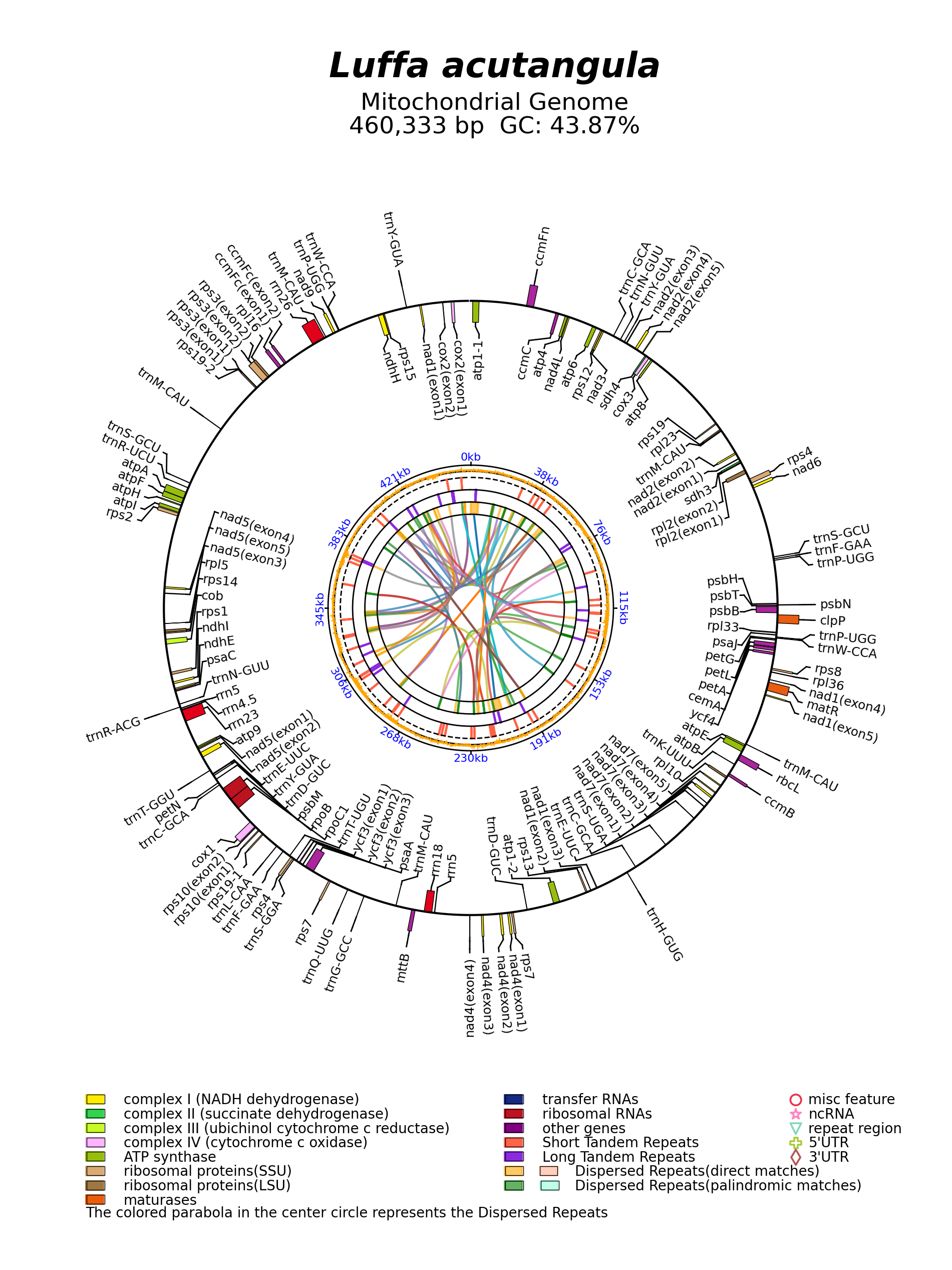 NC_050067_circular.png