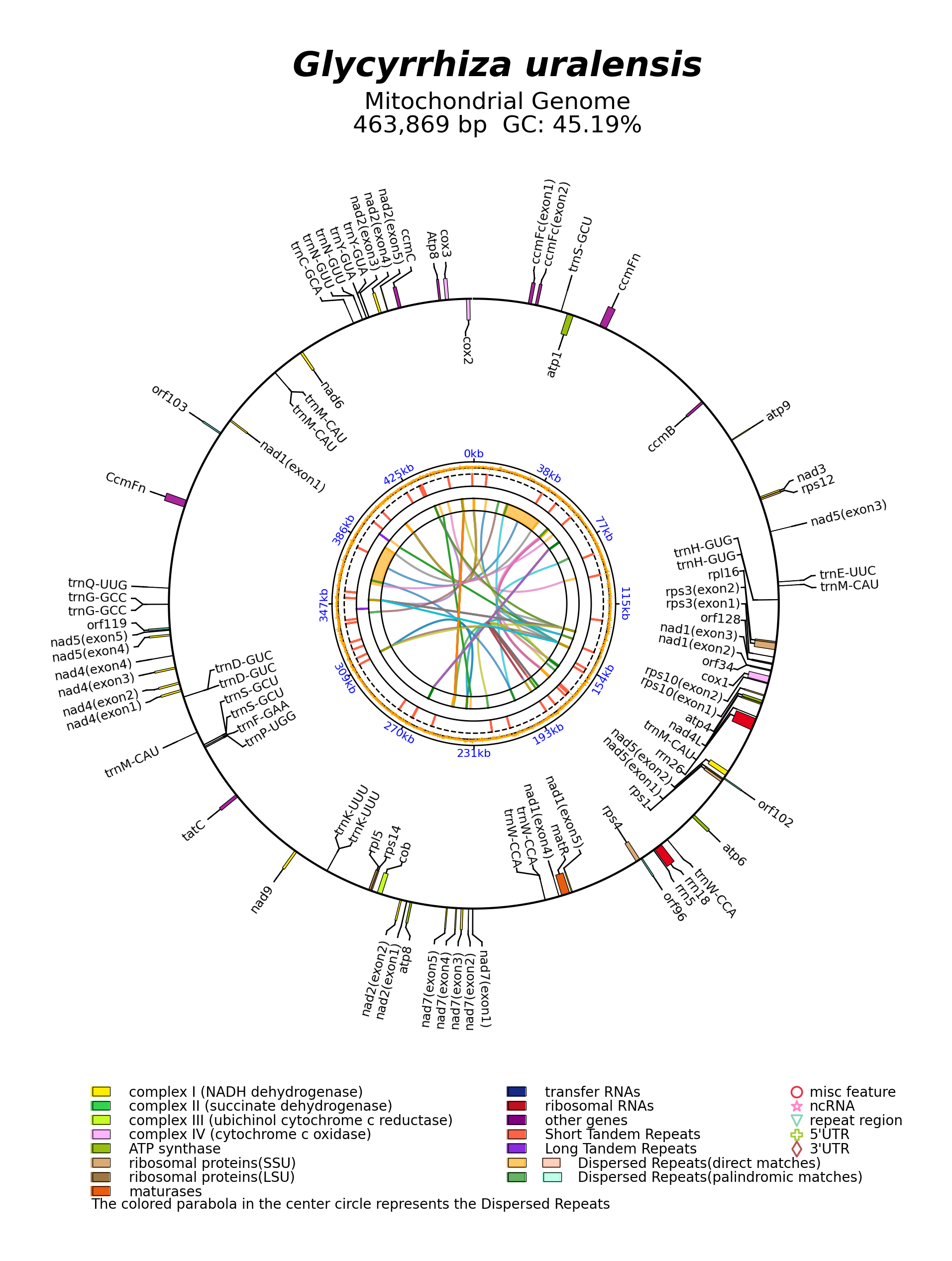 NC_053919_circular.png