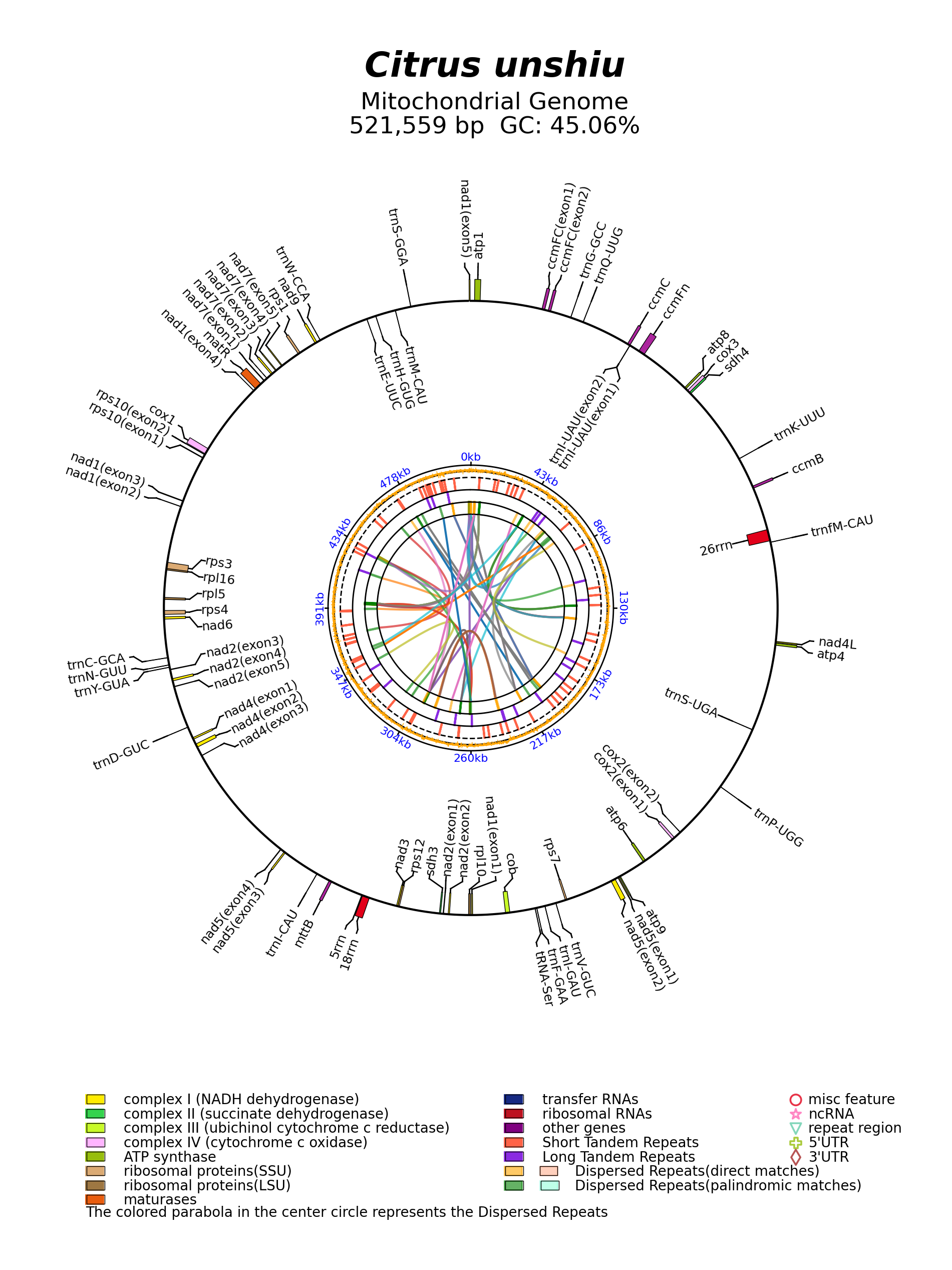 NC_057142_circular.png