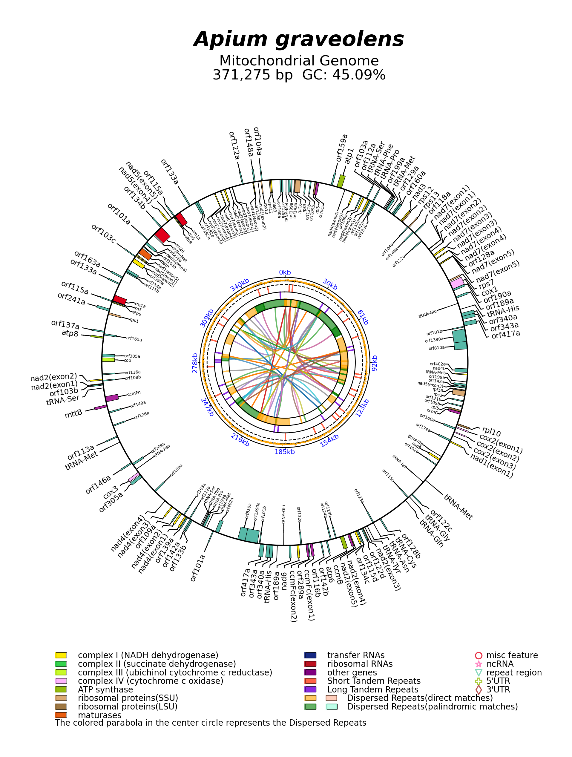 NC_058313_circular.png