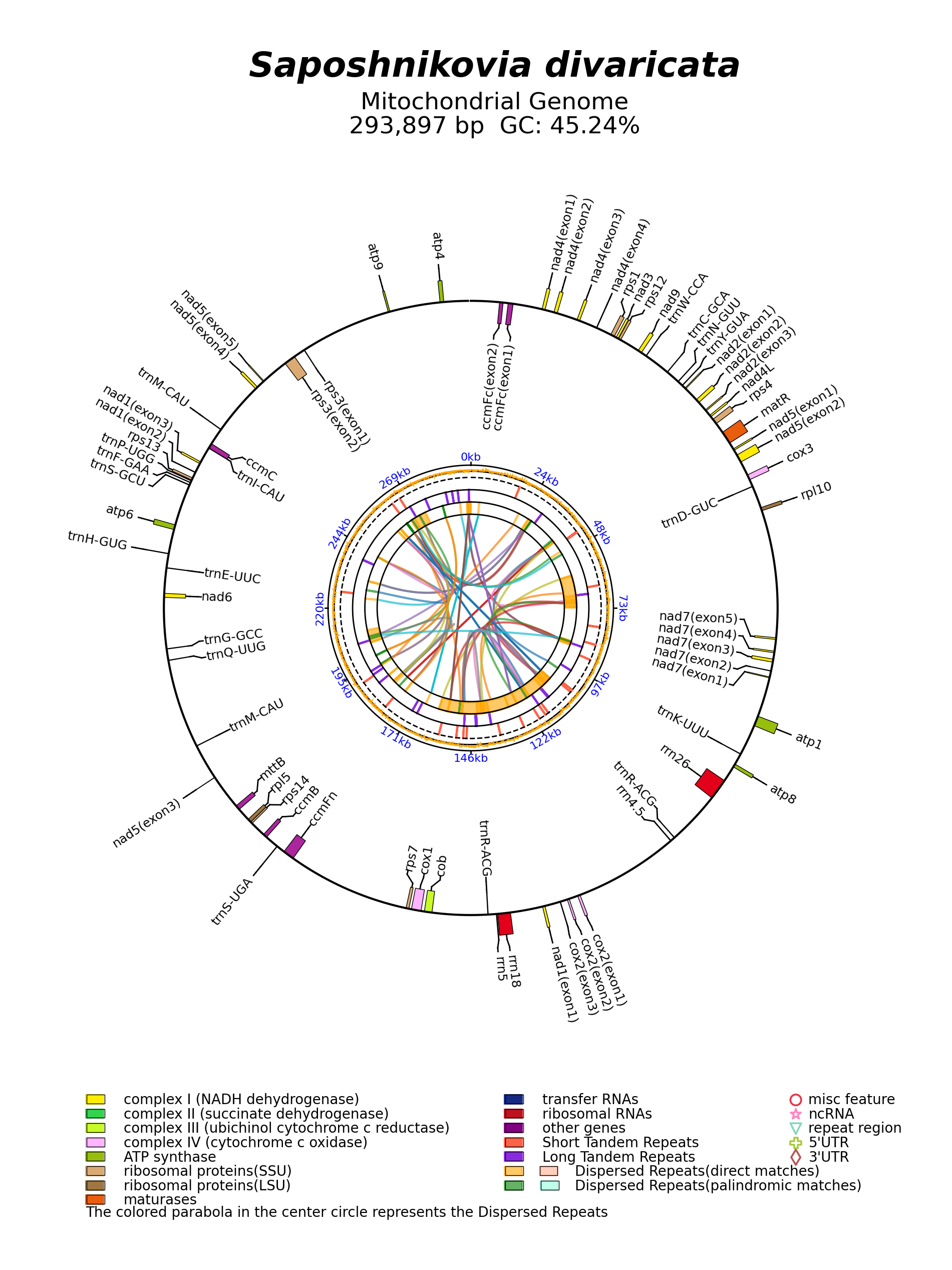 NC_058846_circular.png