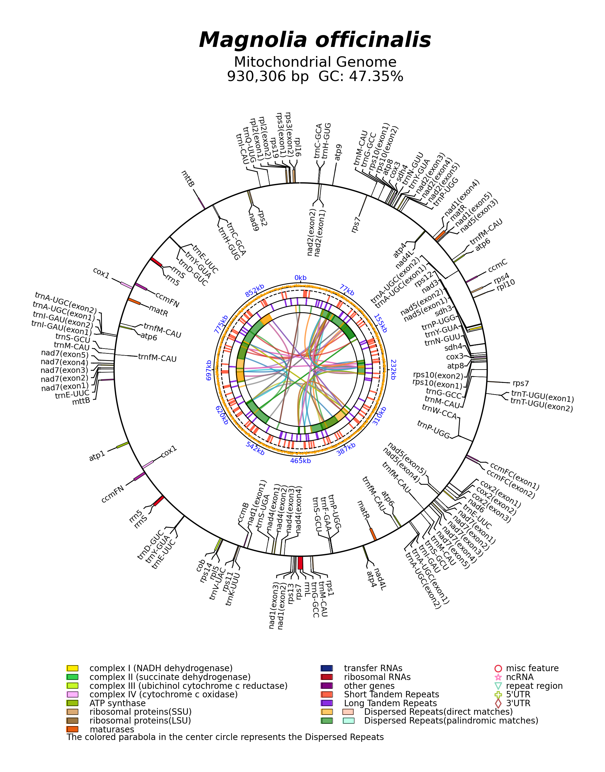 NC_064401_circular.png