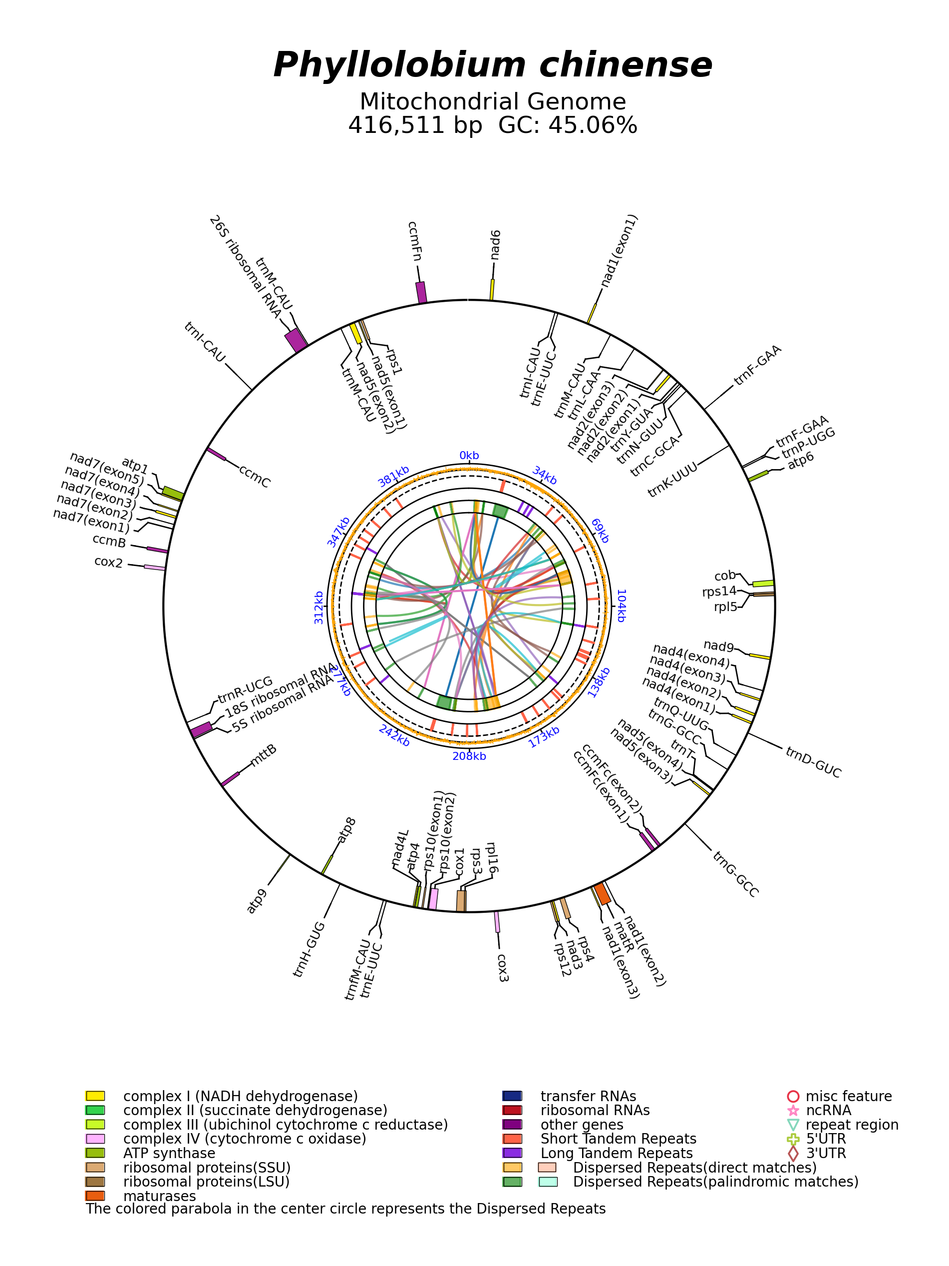 NC_065024_circular.png