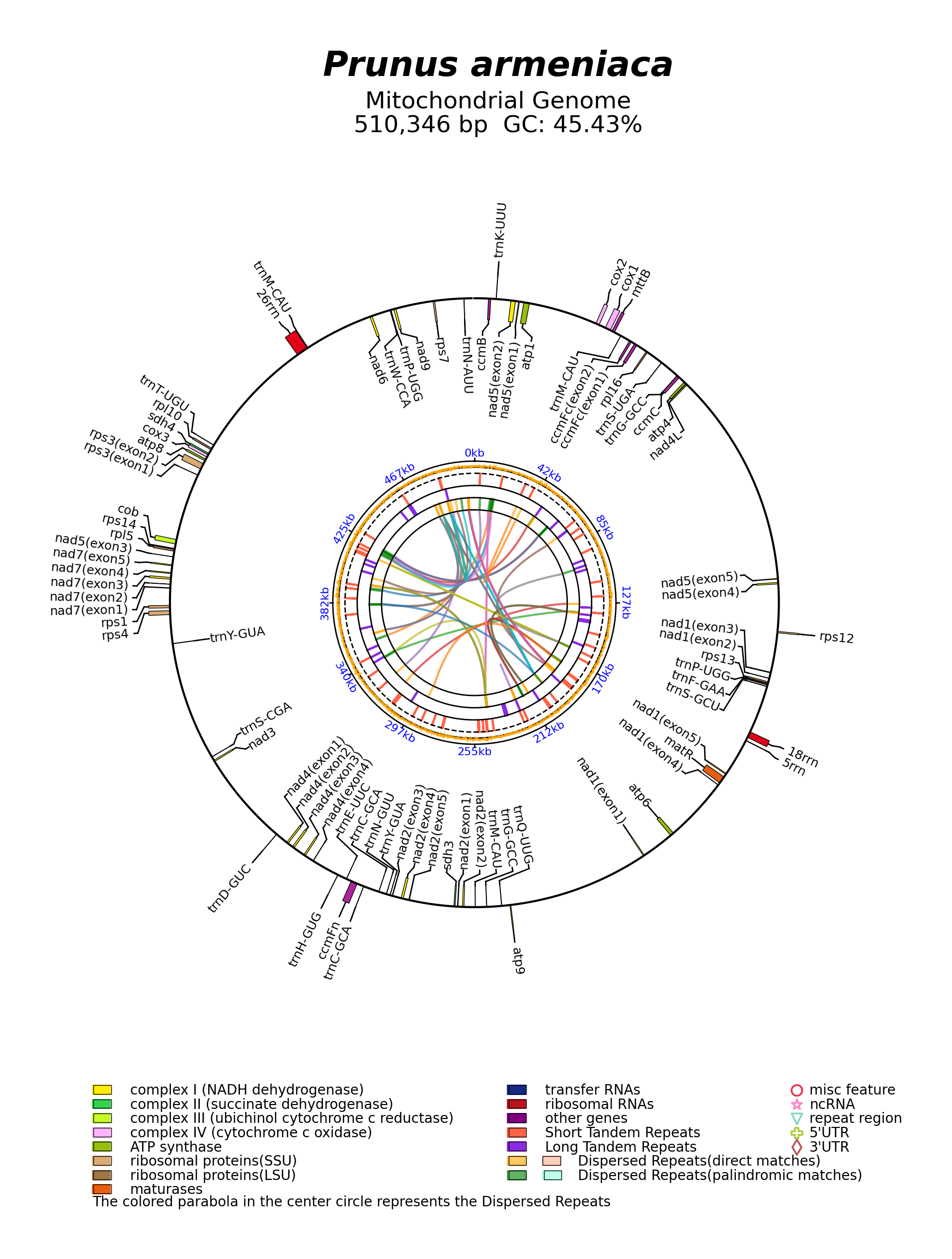 NC_065228_circular.png
