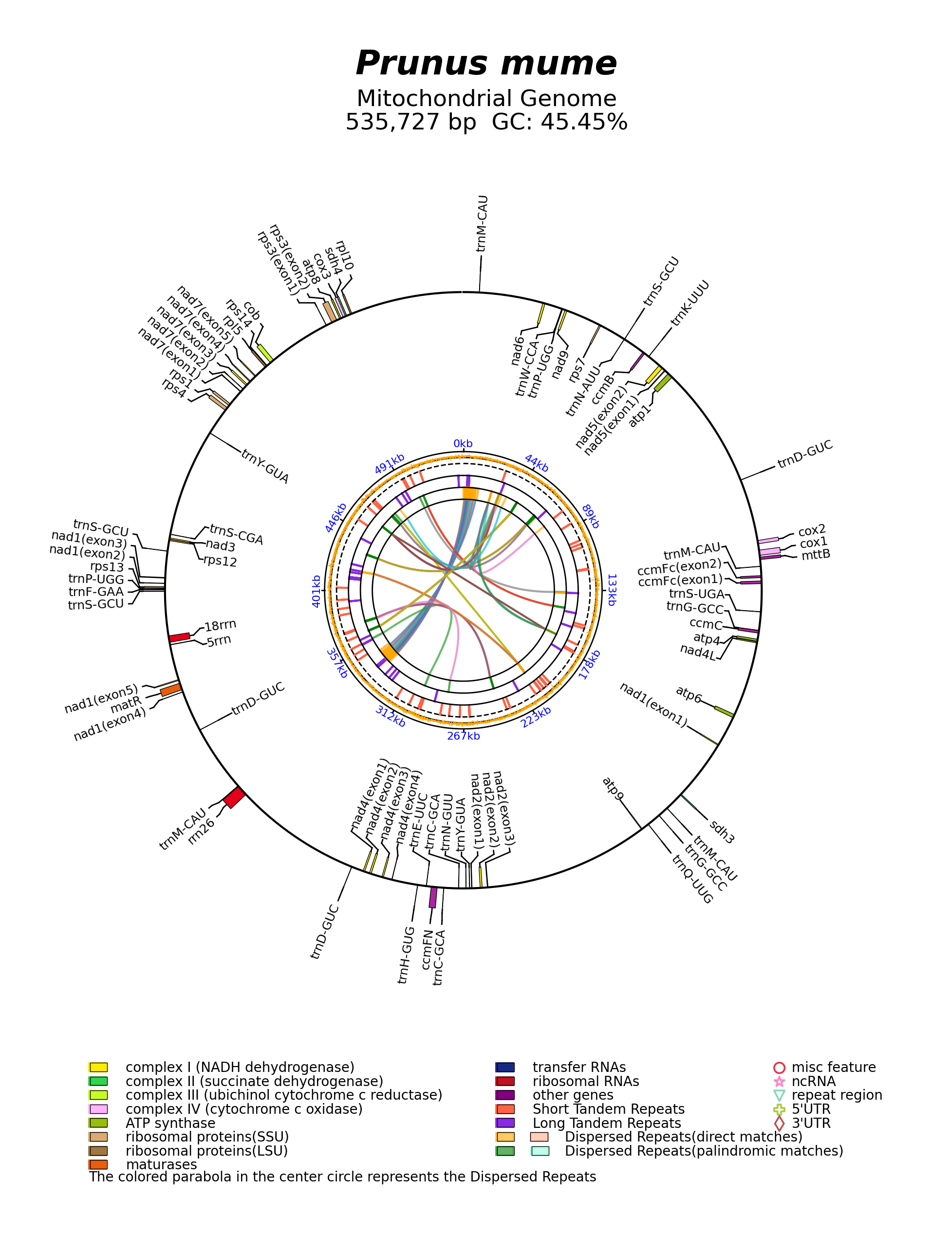 NC_065232_circular.png