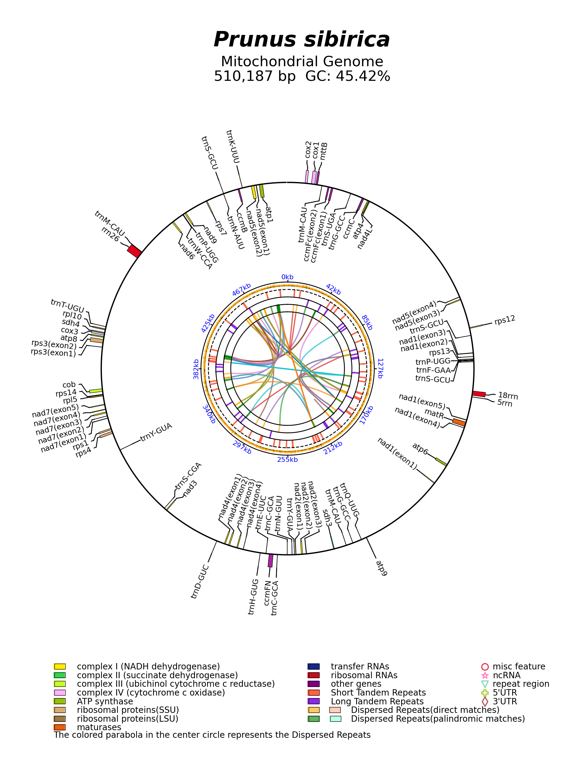 NC_065234_circular.png