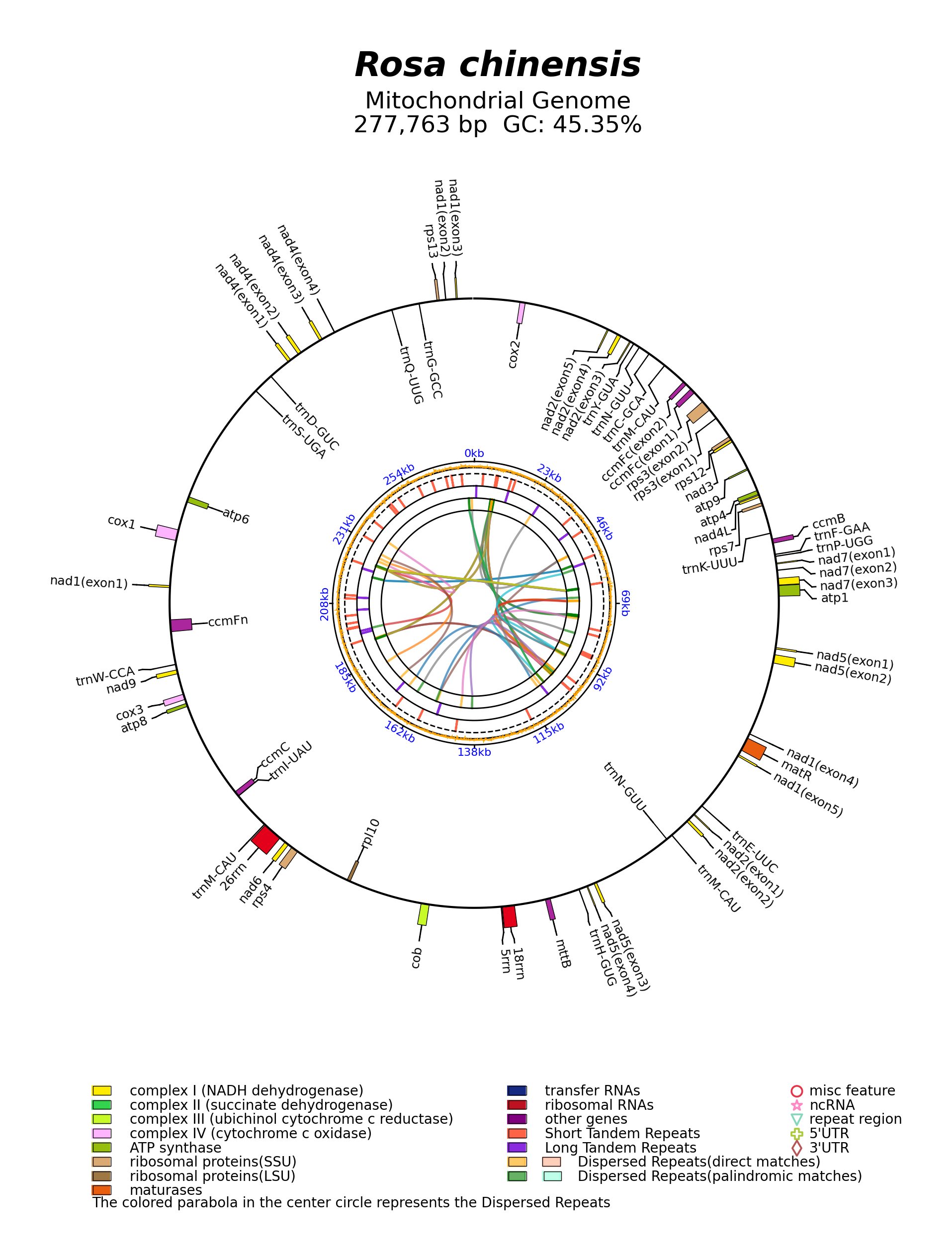 NC_065236_circular.png