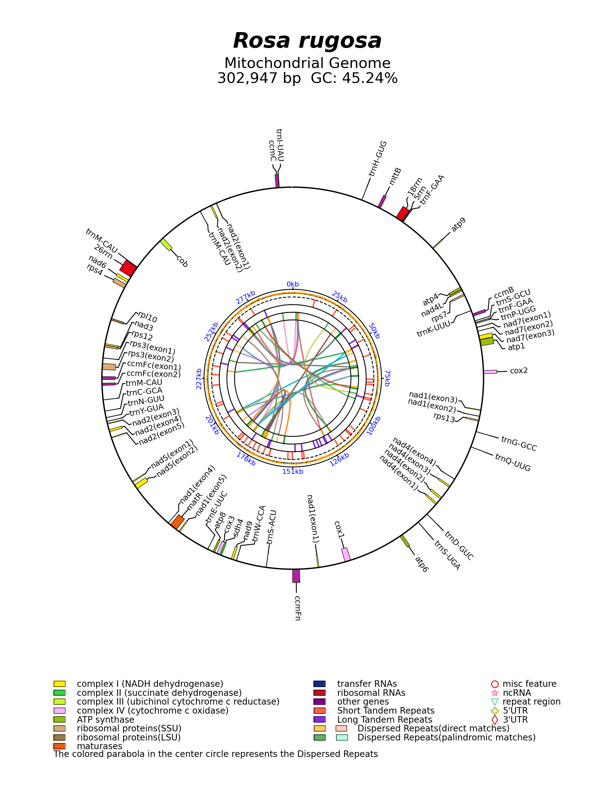 NC_065237_circular.png