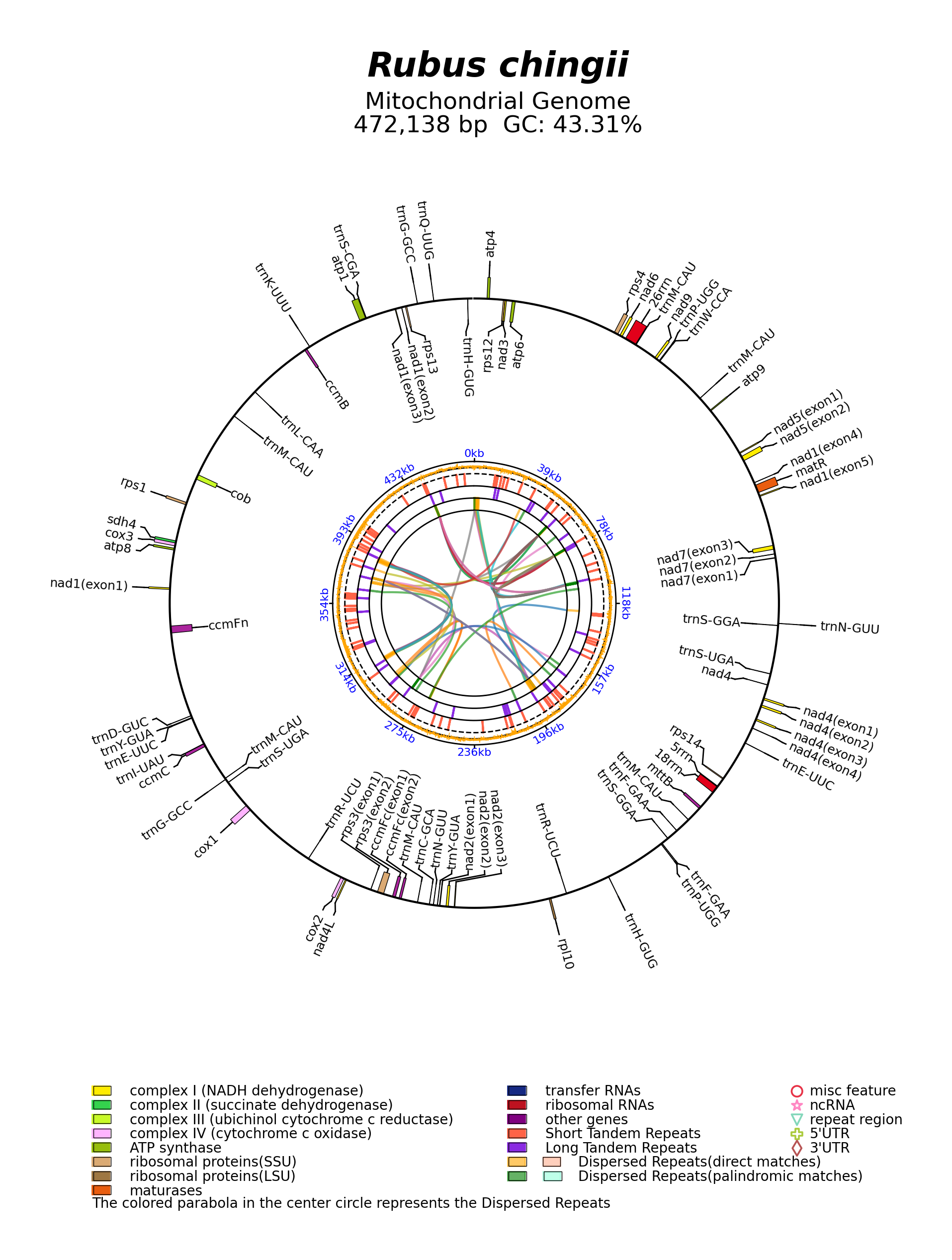 NC_065238_circular.png