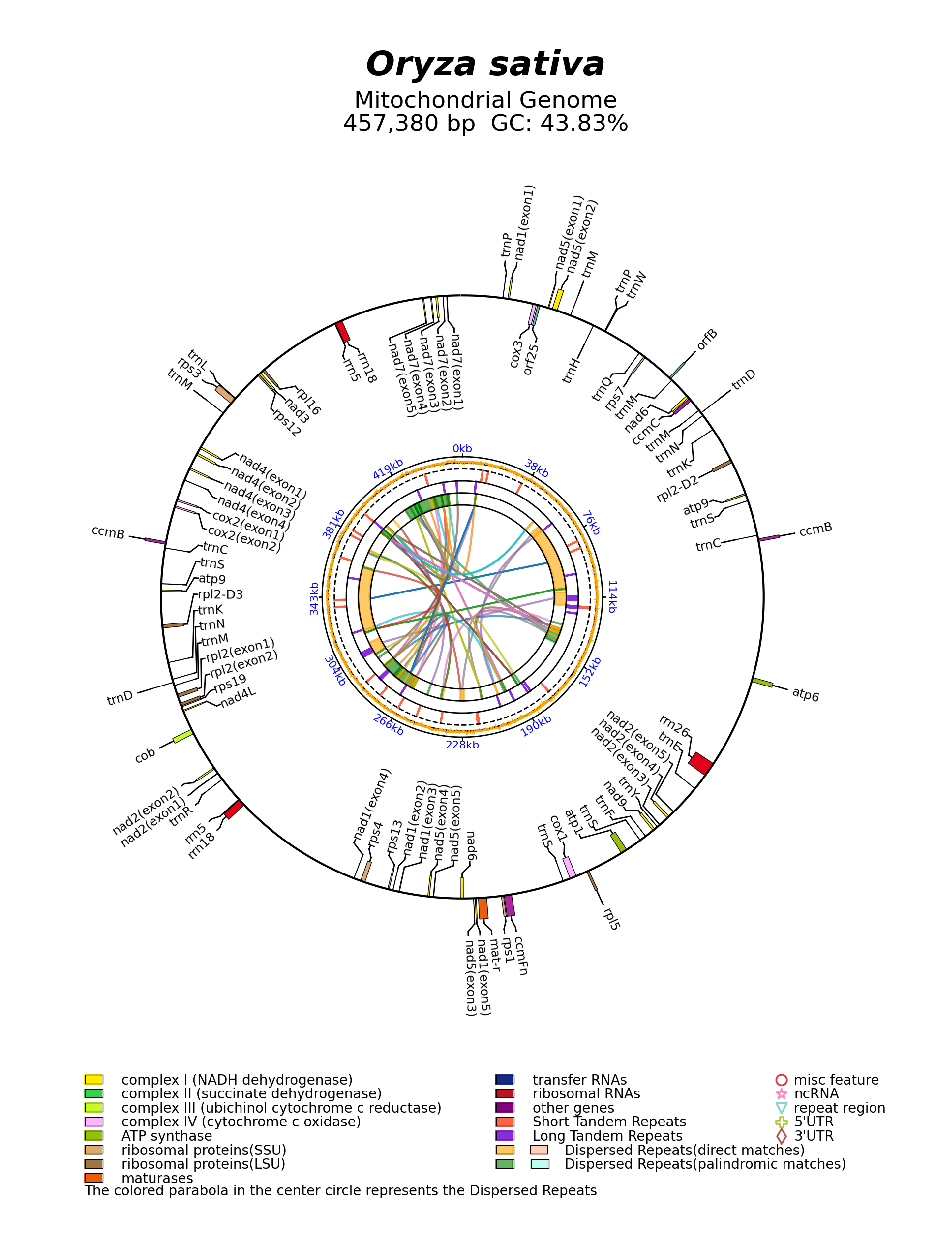 NC_066488_circular.png