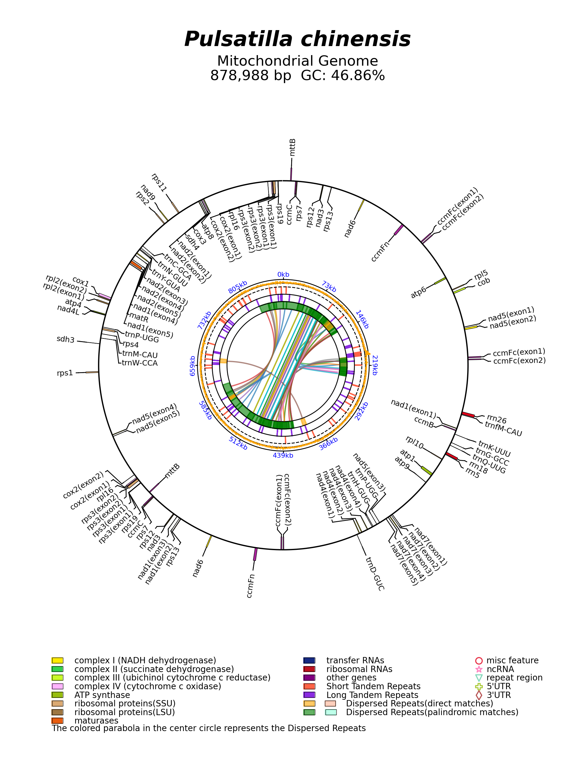 NC_068017_circular.png