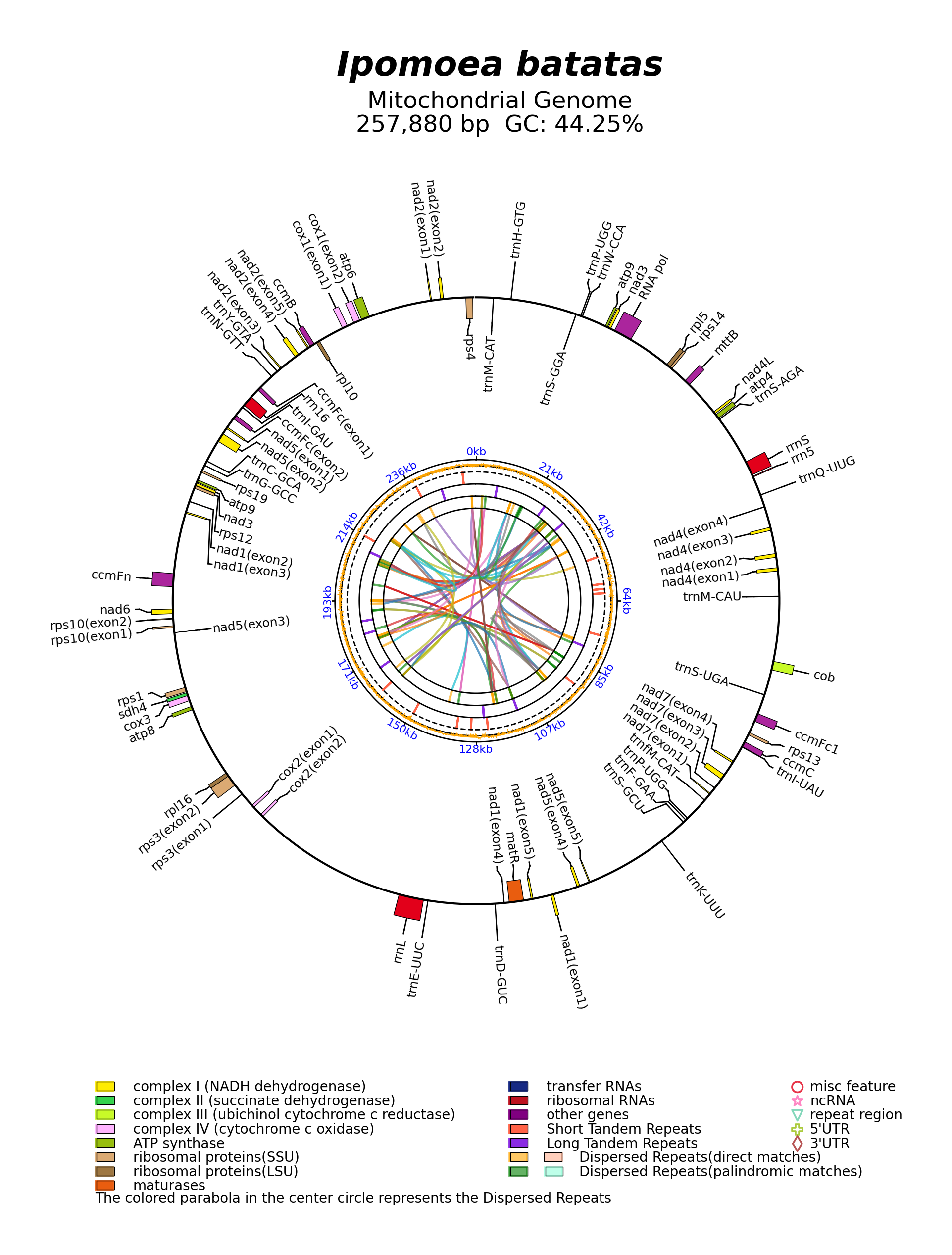 NC_068714_circular.png
