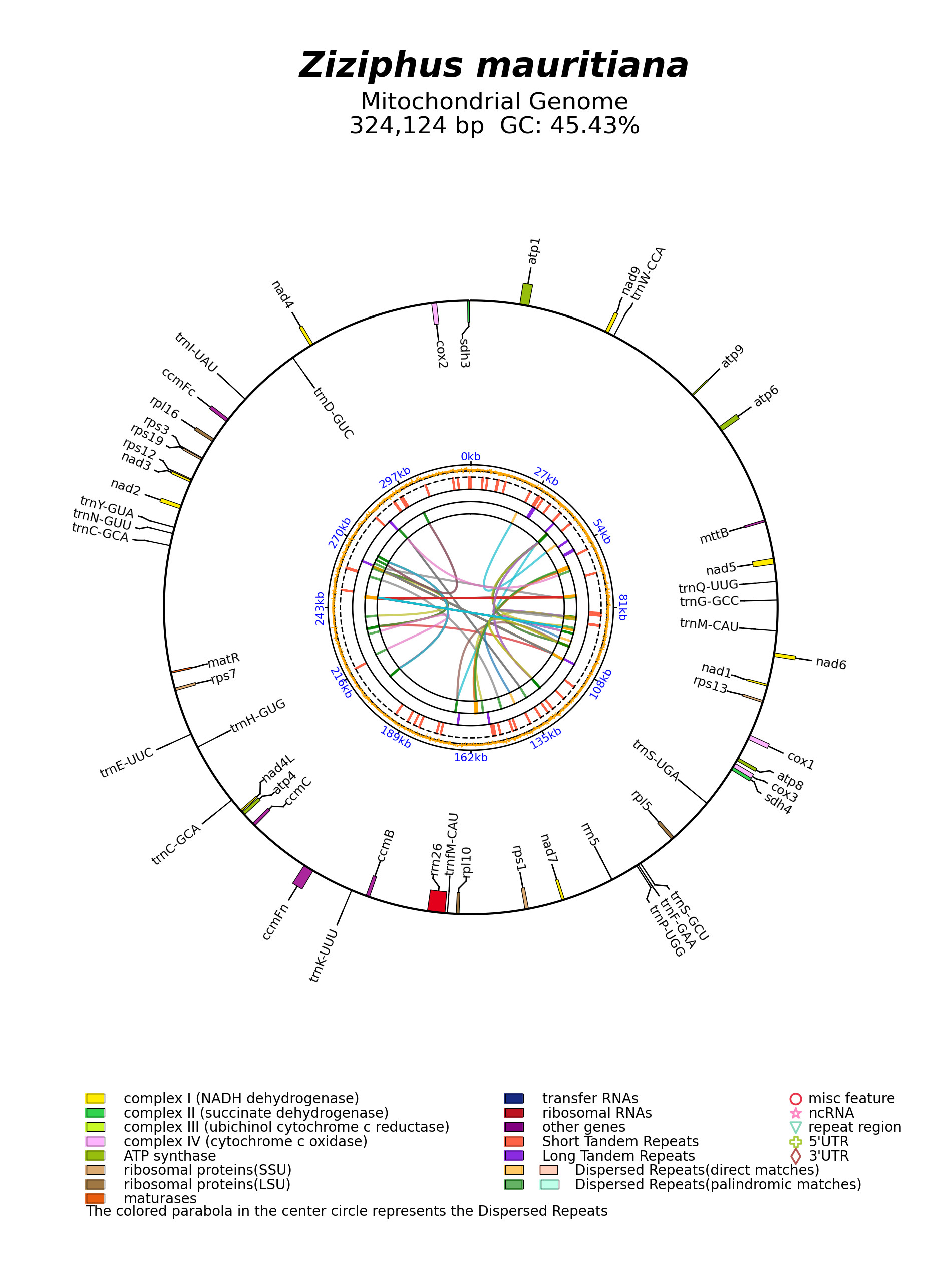 NC_068745_circular.png