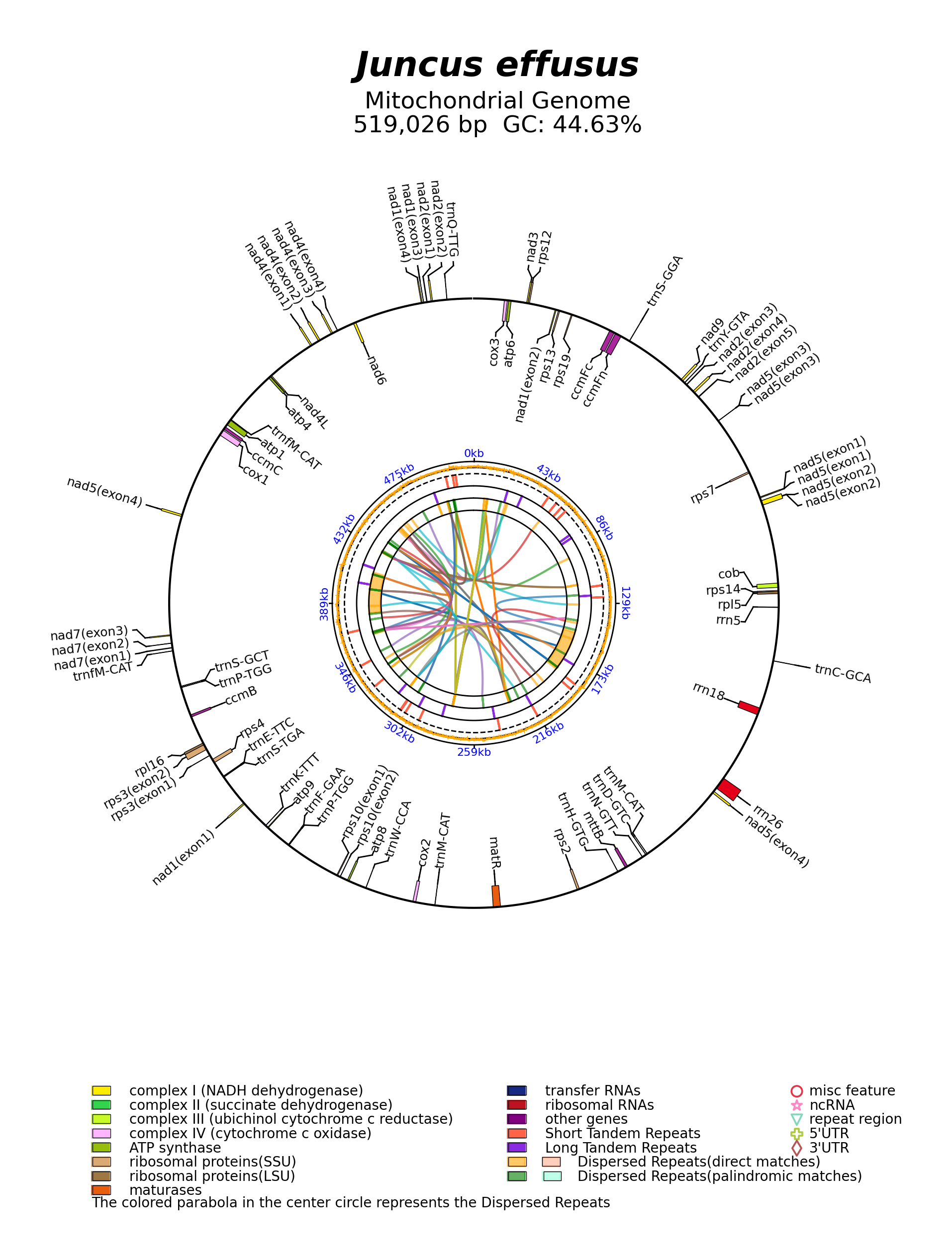 NC_069588_circular.png