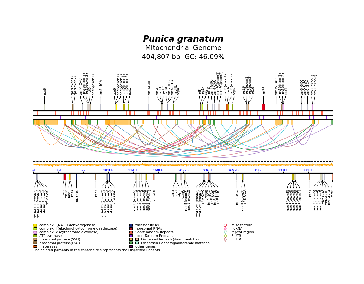 NC_071229_linear.png