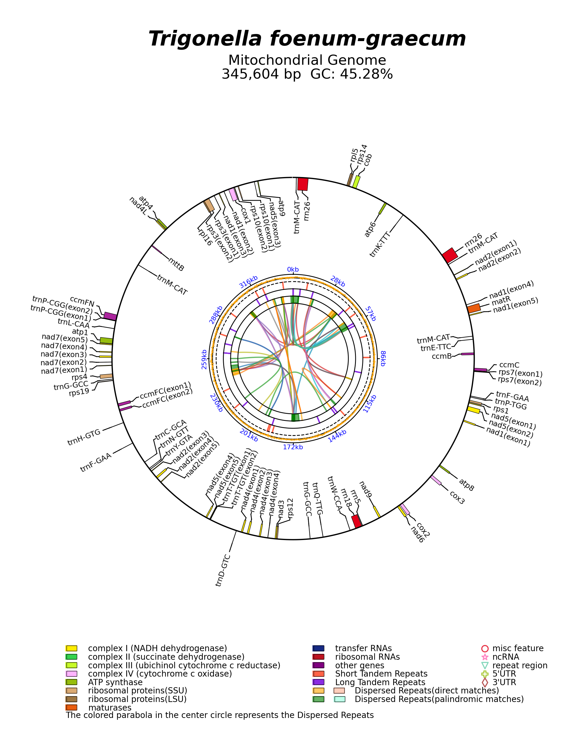 NC_072135_circular.png