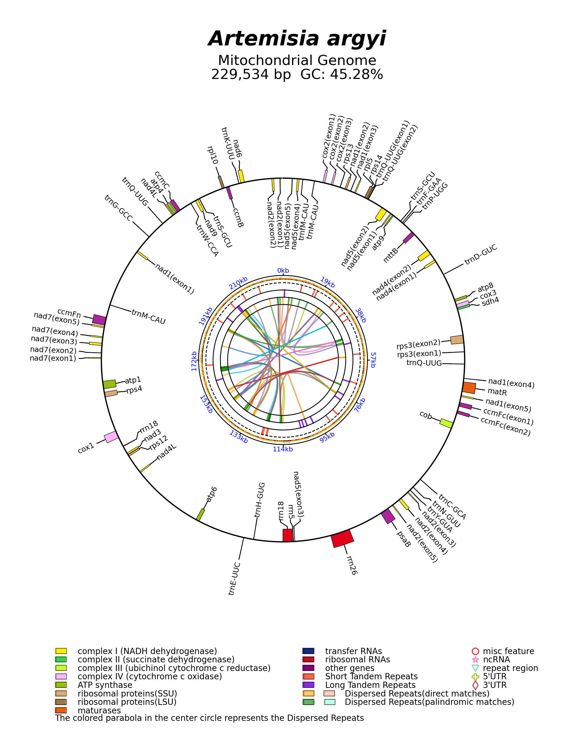 NC_072730_circular.png