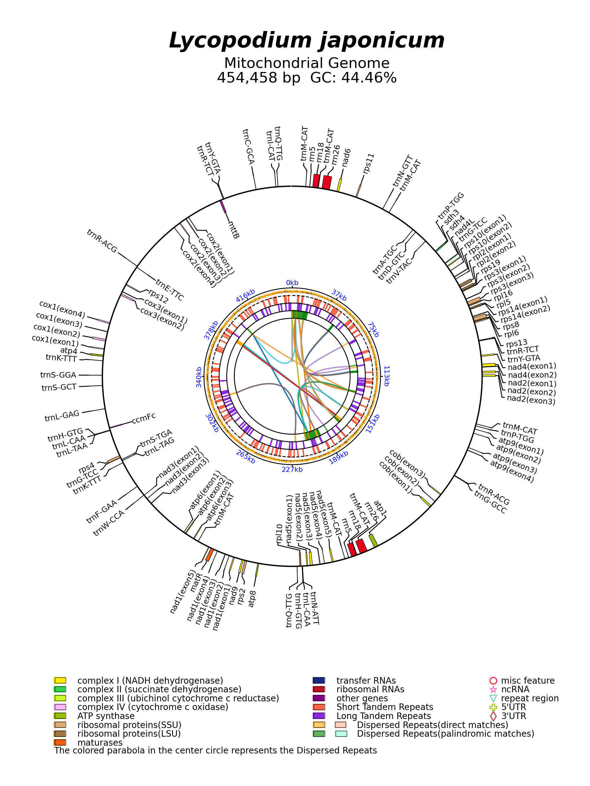 NC_080981_circular.png