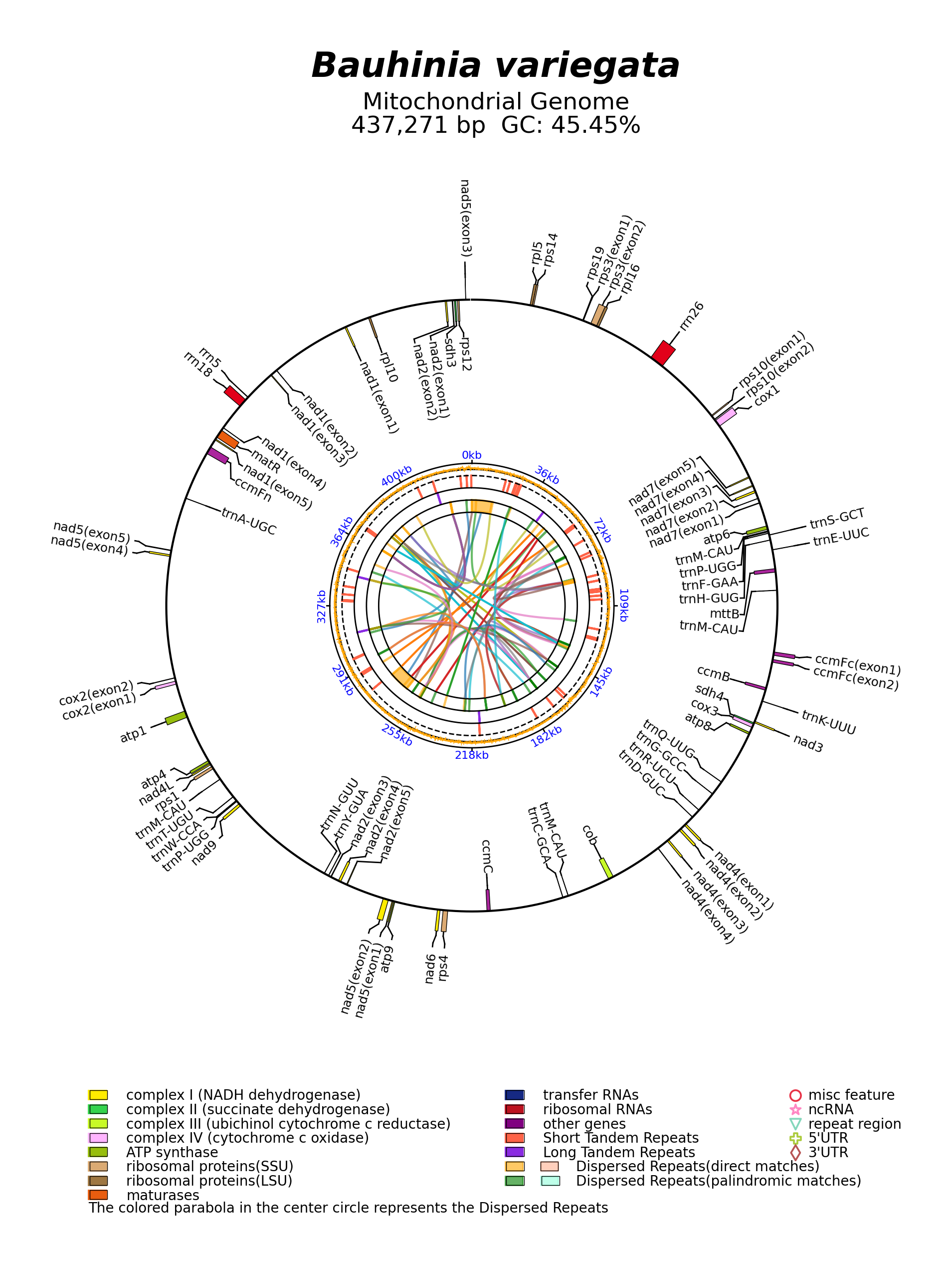 NC_082095_circular.png